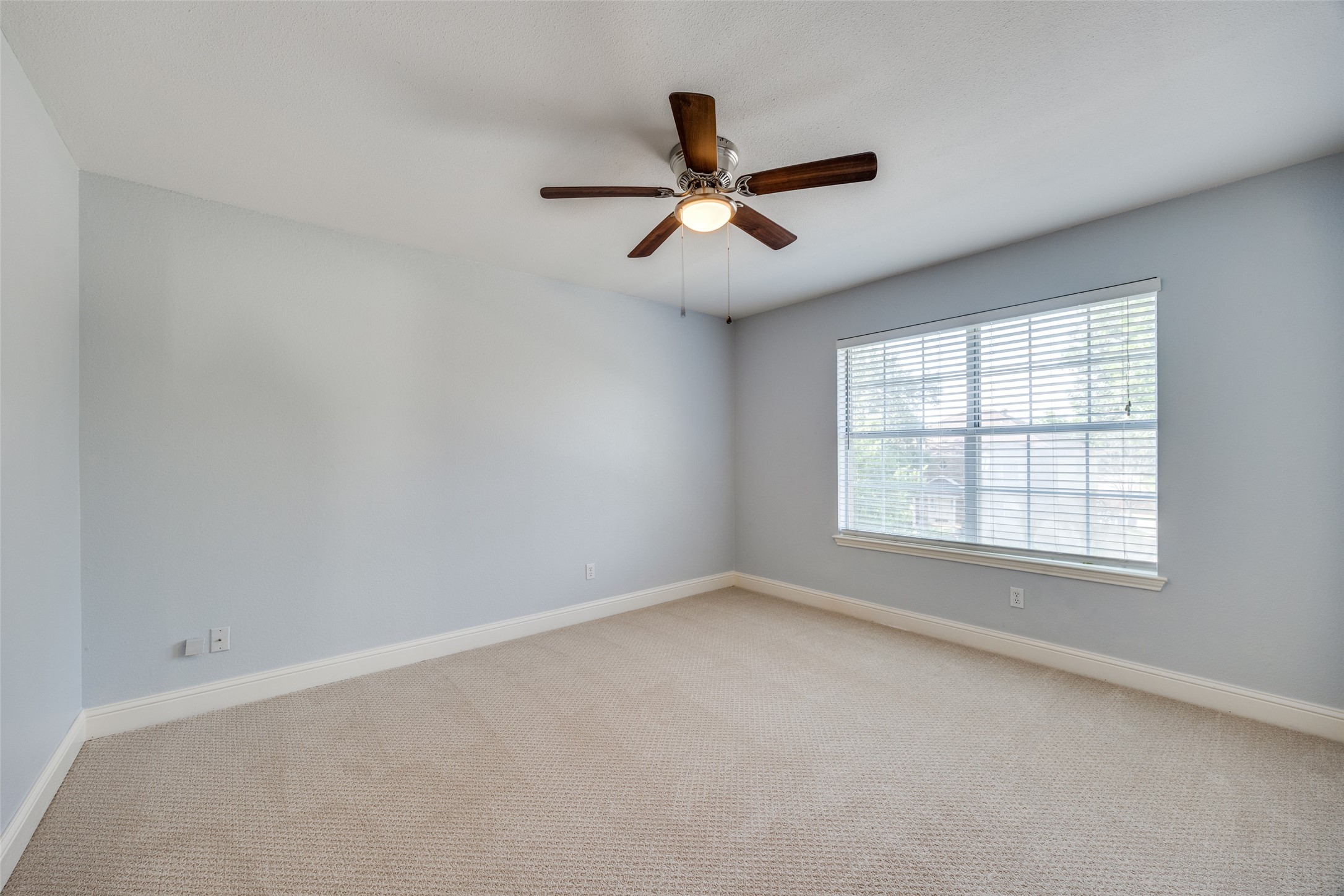 1115 Holly Drive