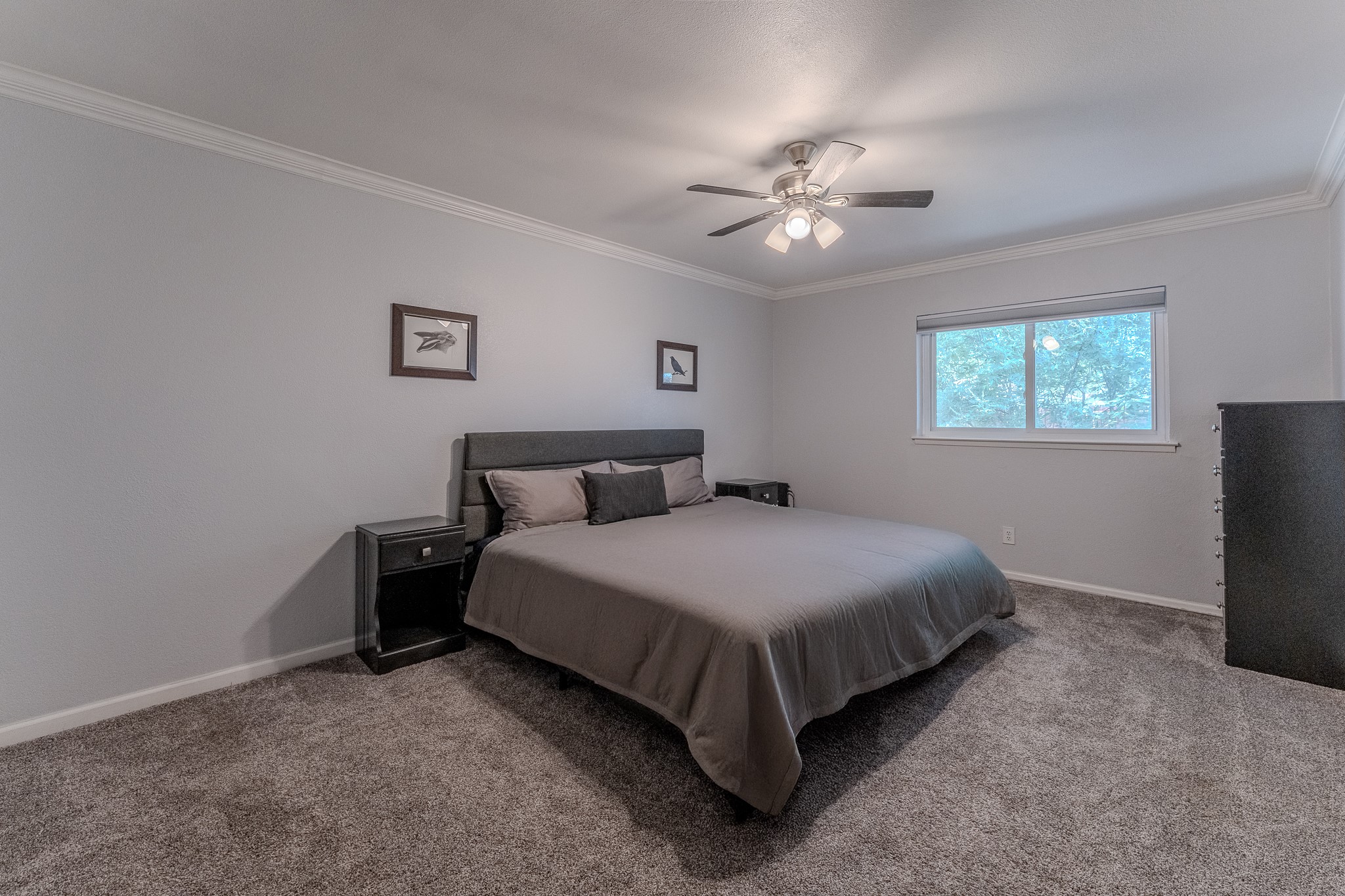 1617 Lorraine Drive