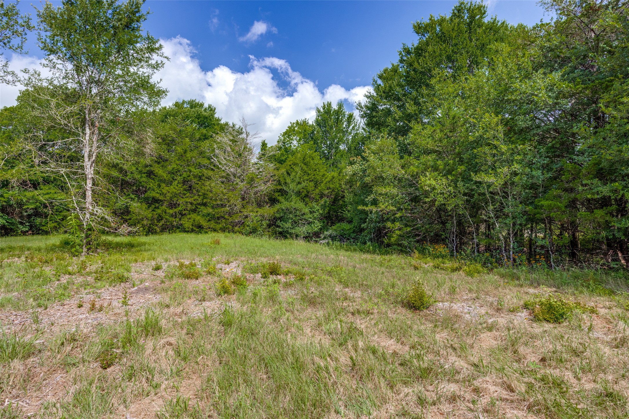 5310 County Road 3209