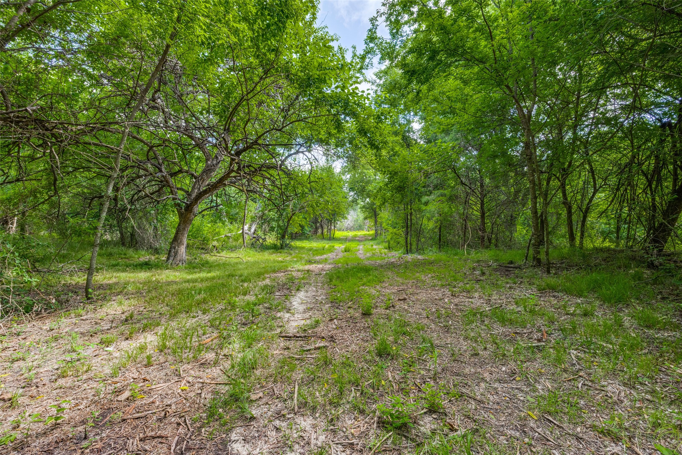 5310 County Road 3209