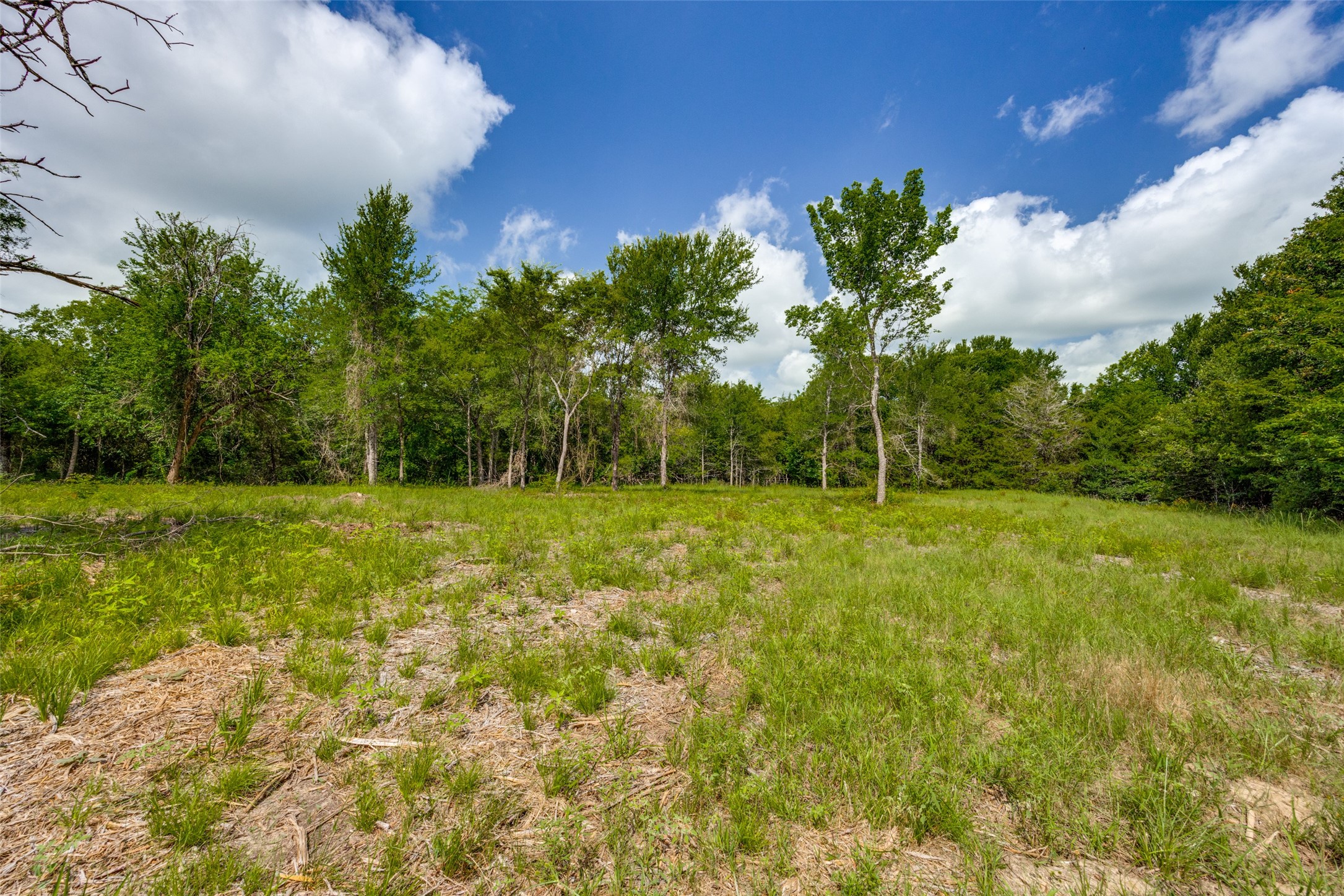 5310 County Road 3209