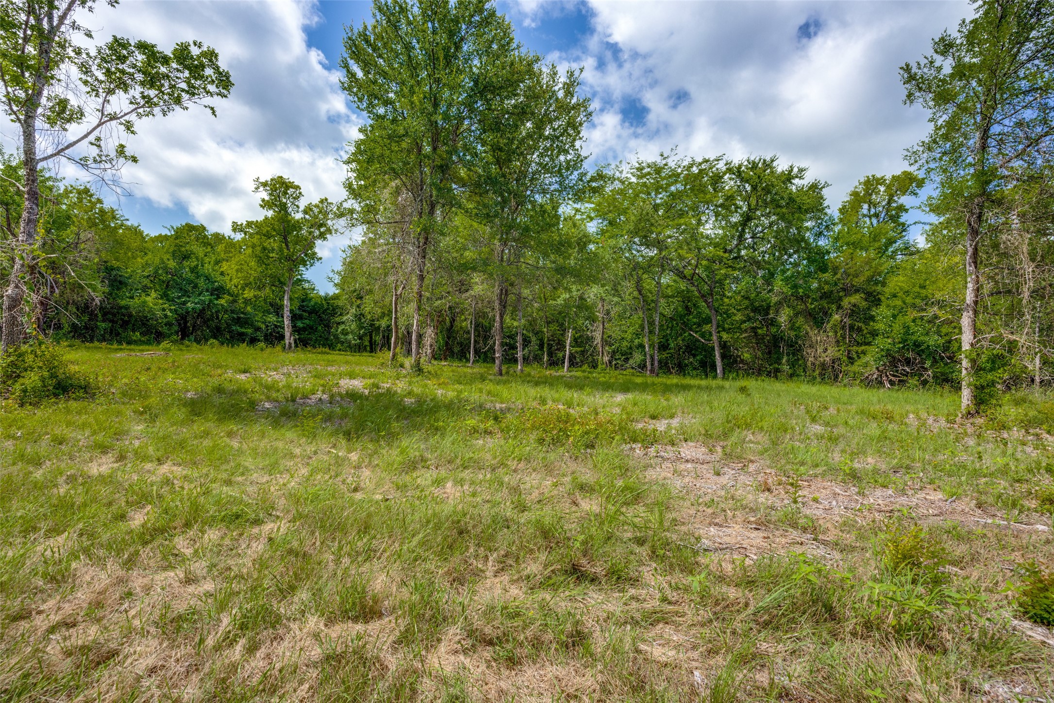 5310 County Road 3209