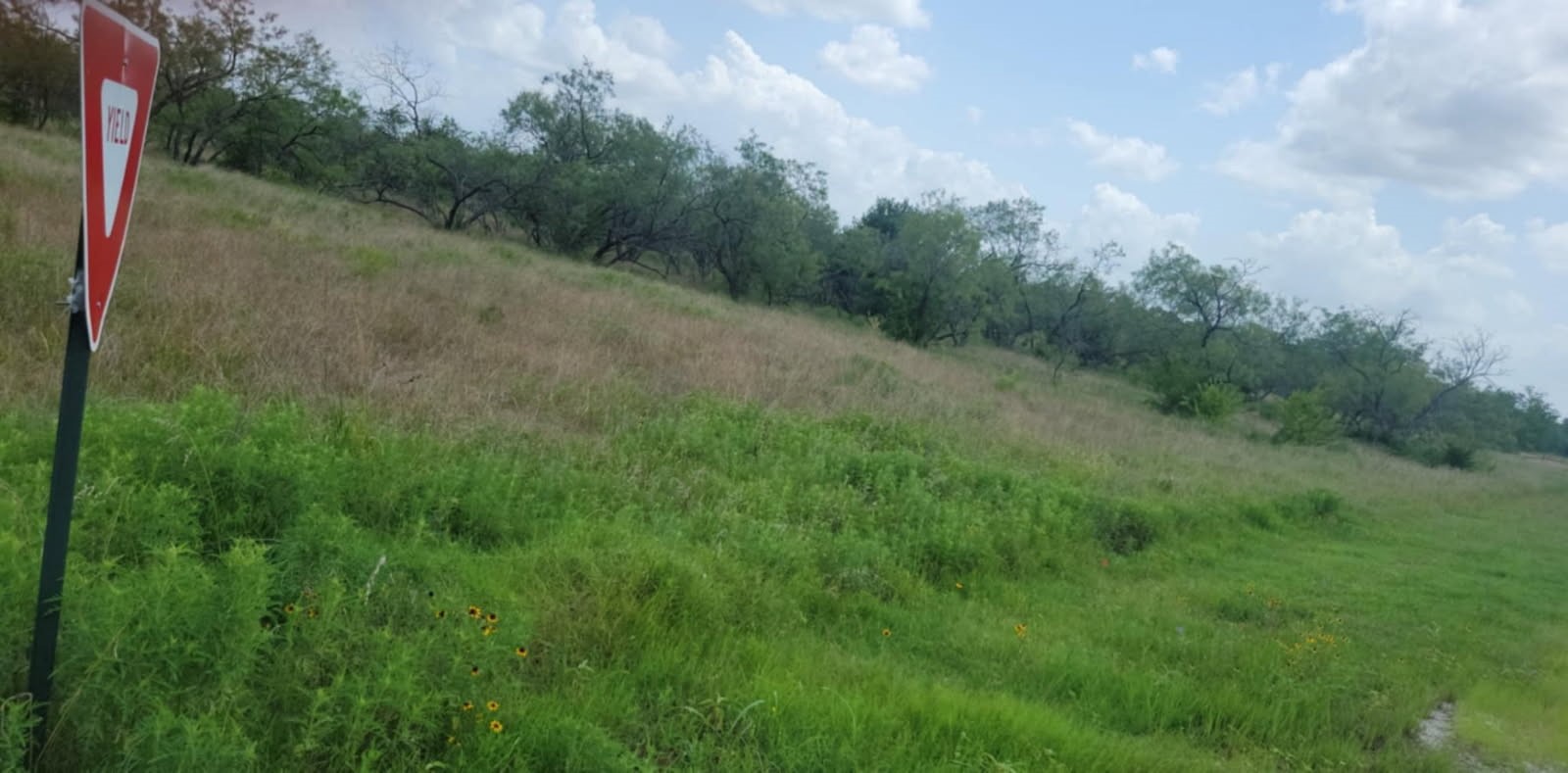 Lot 118 Palmito Rnch Road