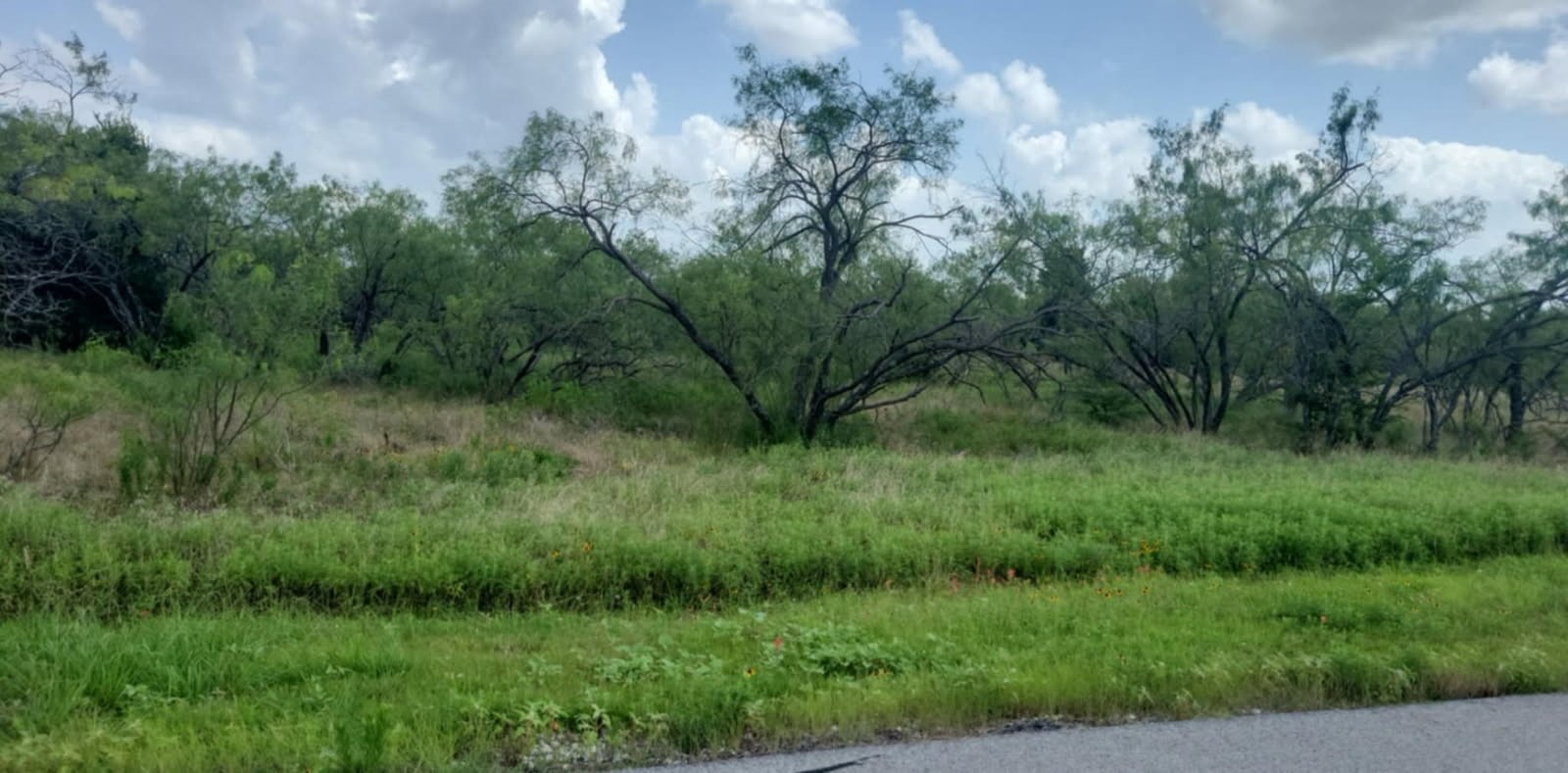 Lot 118 Palmito Rnch Road