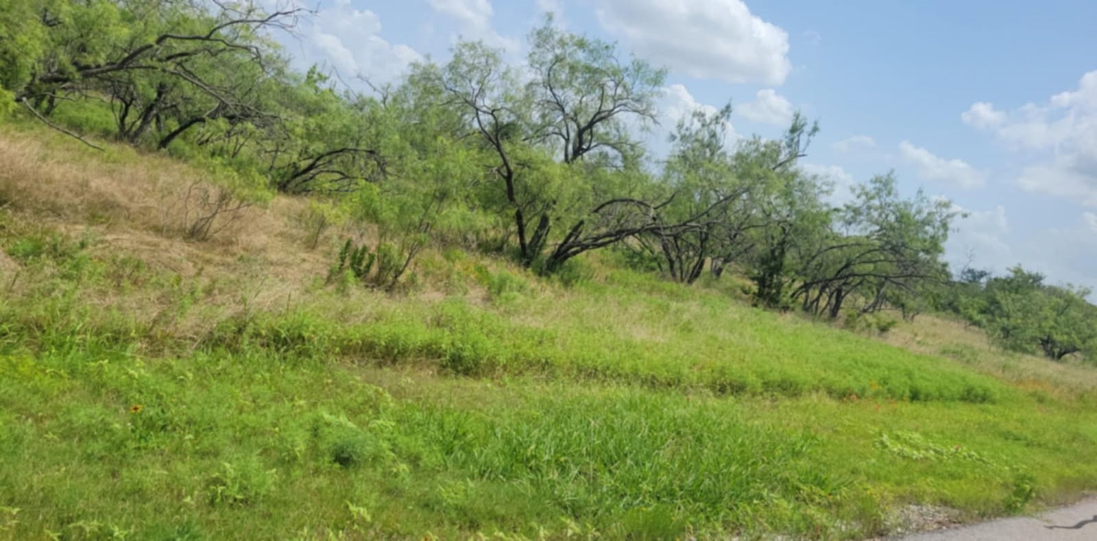 Lot 118 Palmito Rnch Road