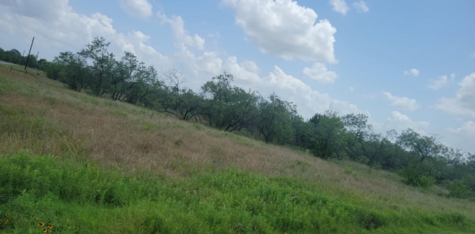 Lot 118 Palmito Rnch Road