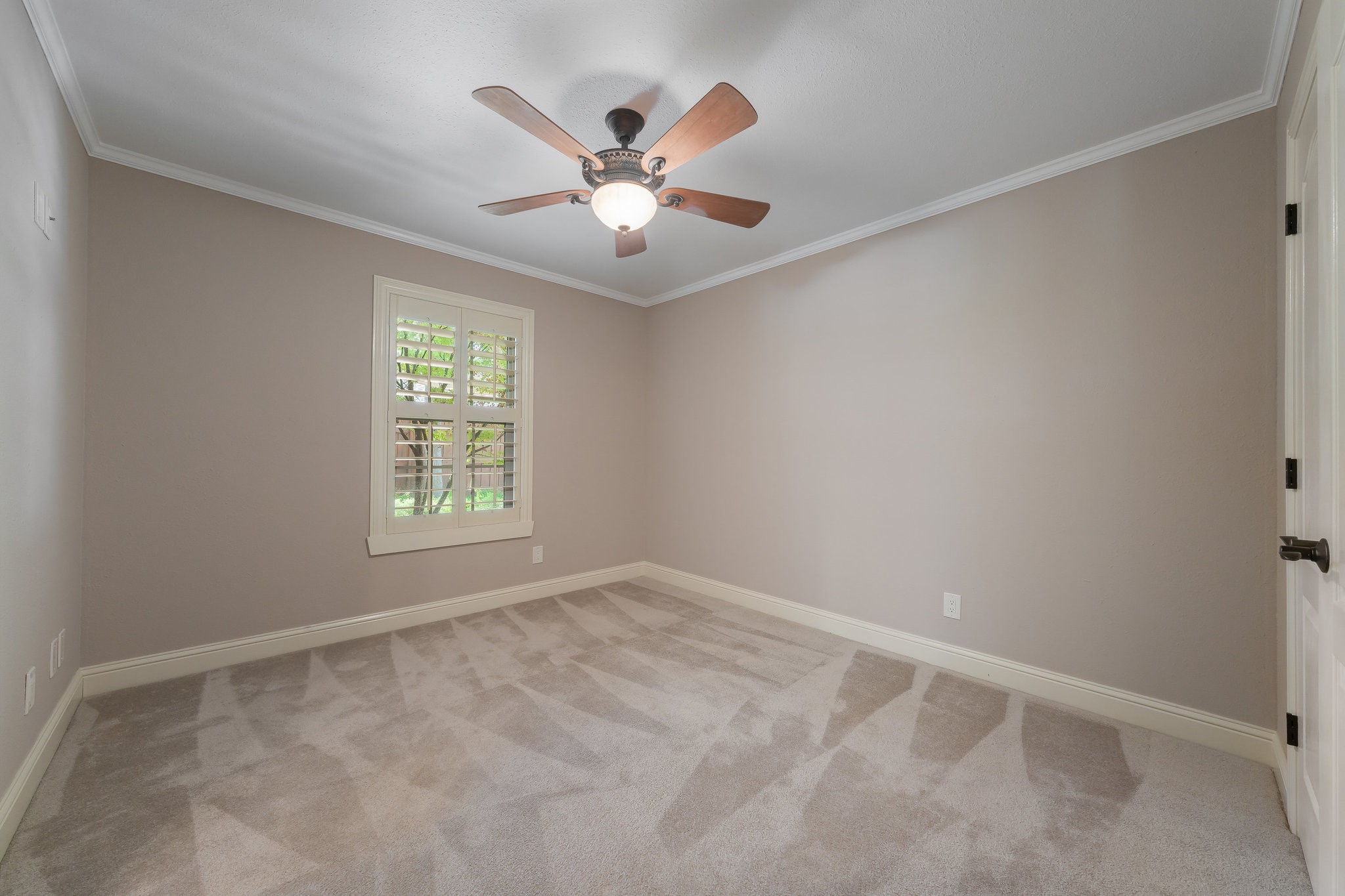 3802 Bluegrass Drive