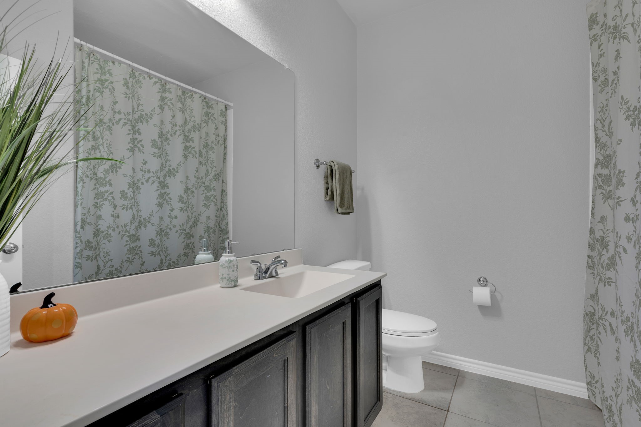 10612 Alpine Meadow Lane
