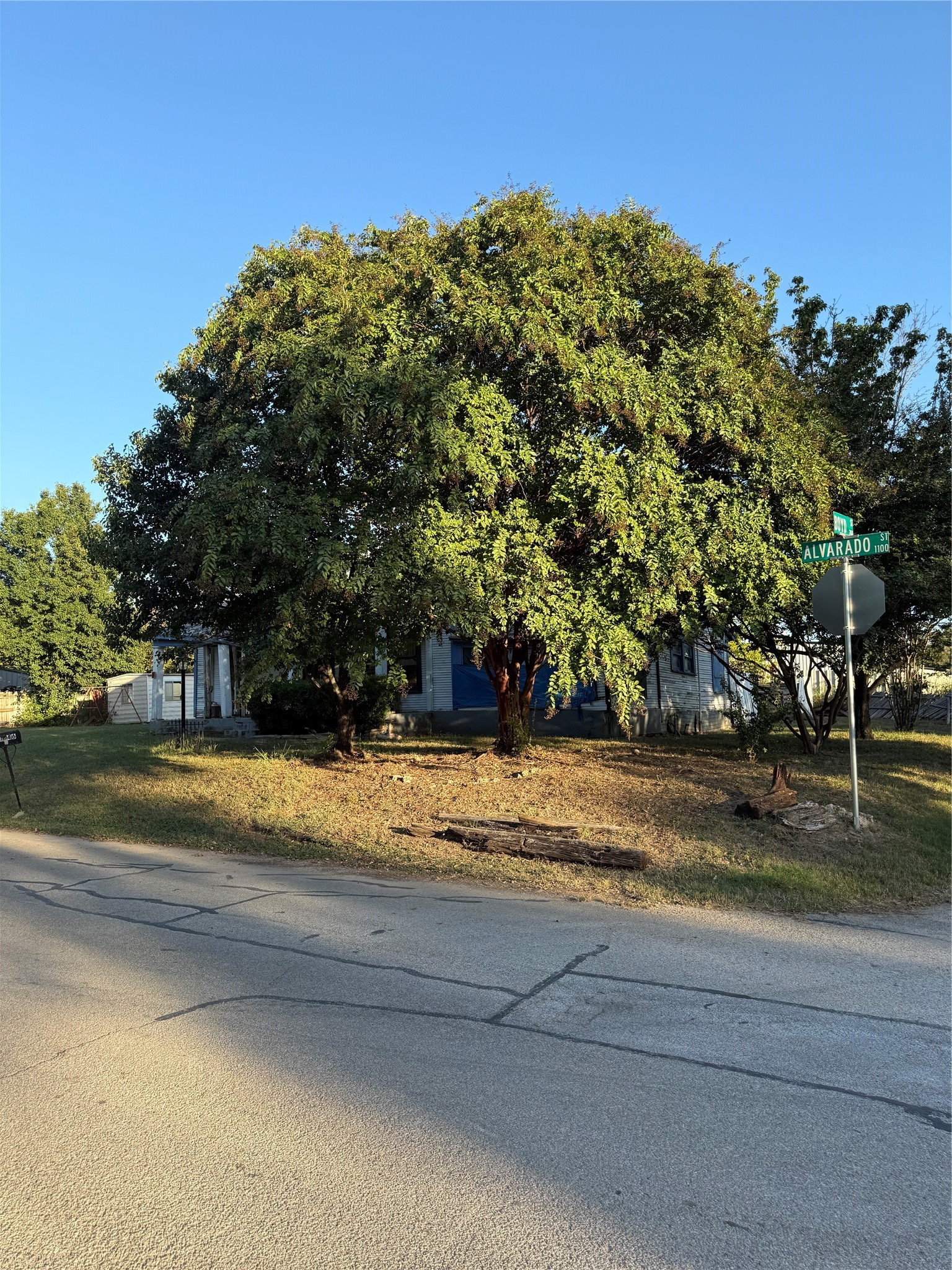 1146 Alvarado Street