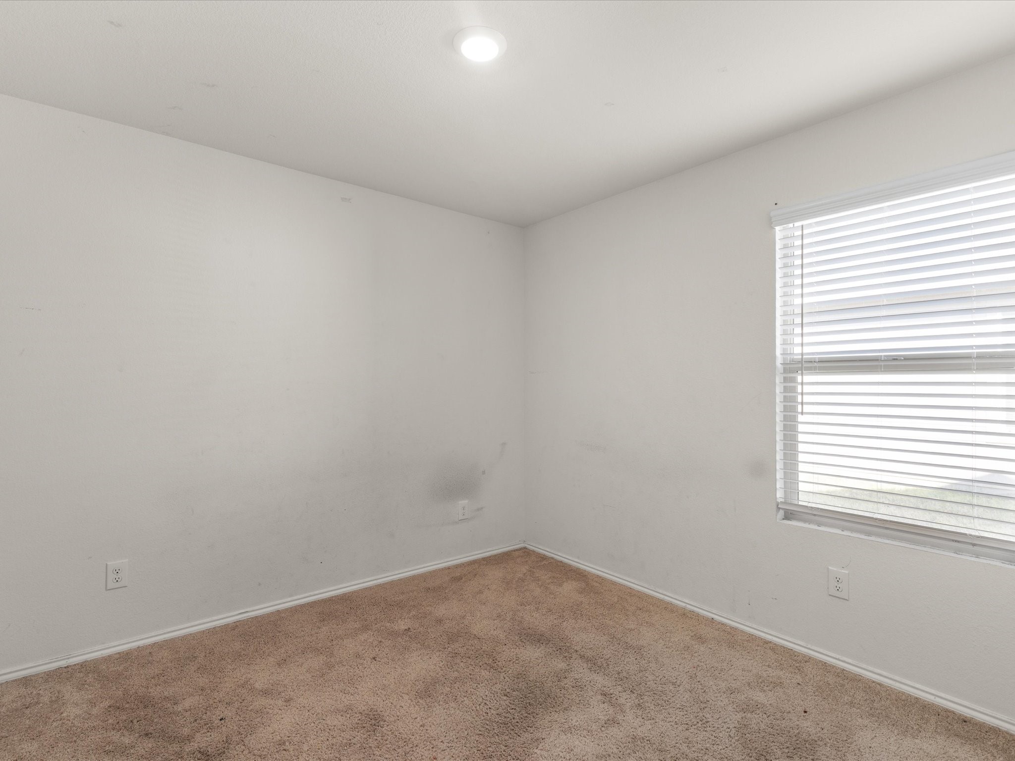 14345 Saddlebred Way