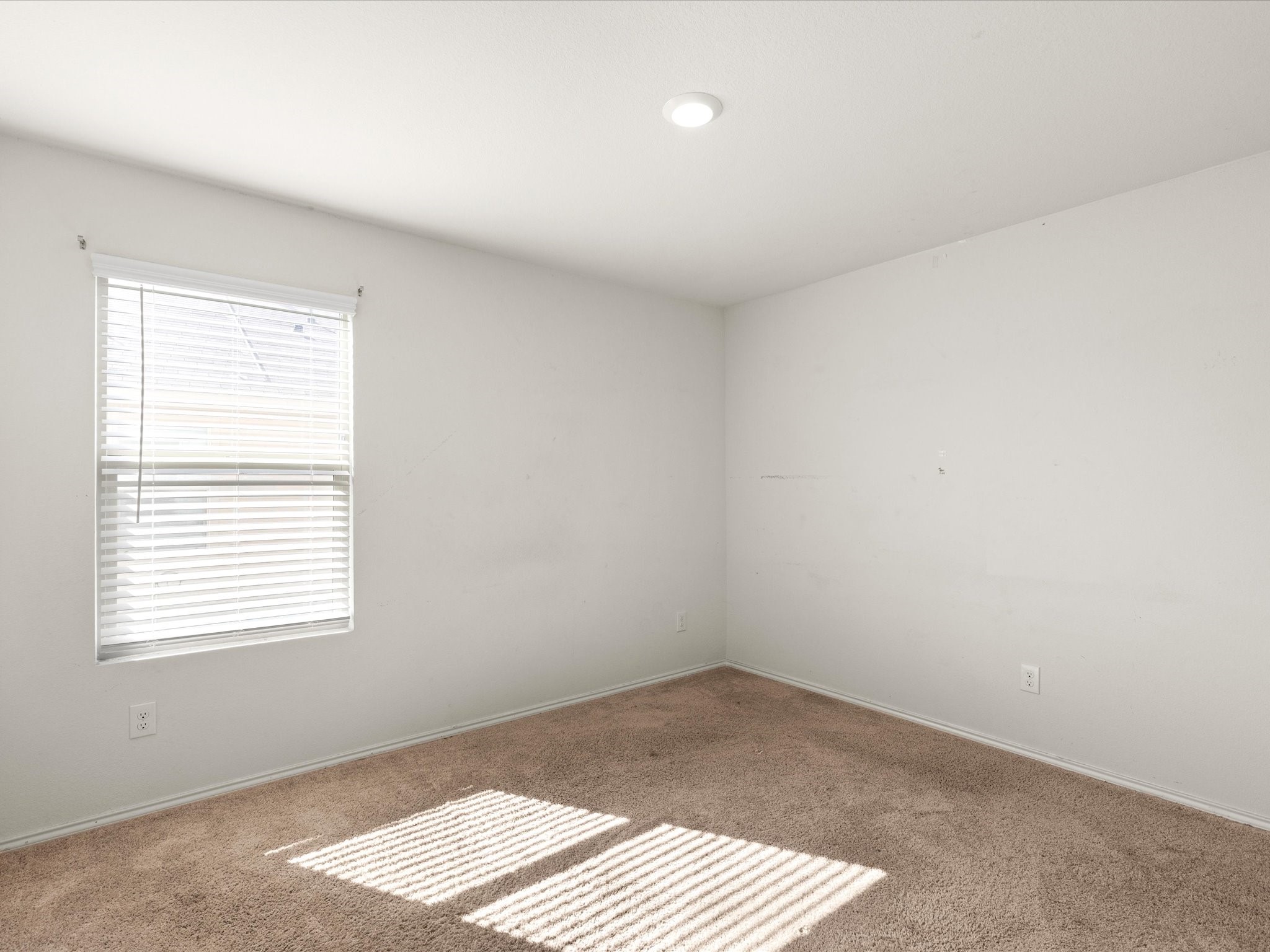 14345 Saddlebred Way