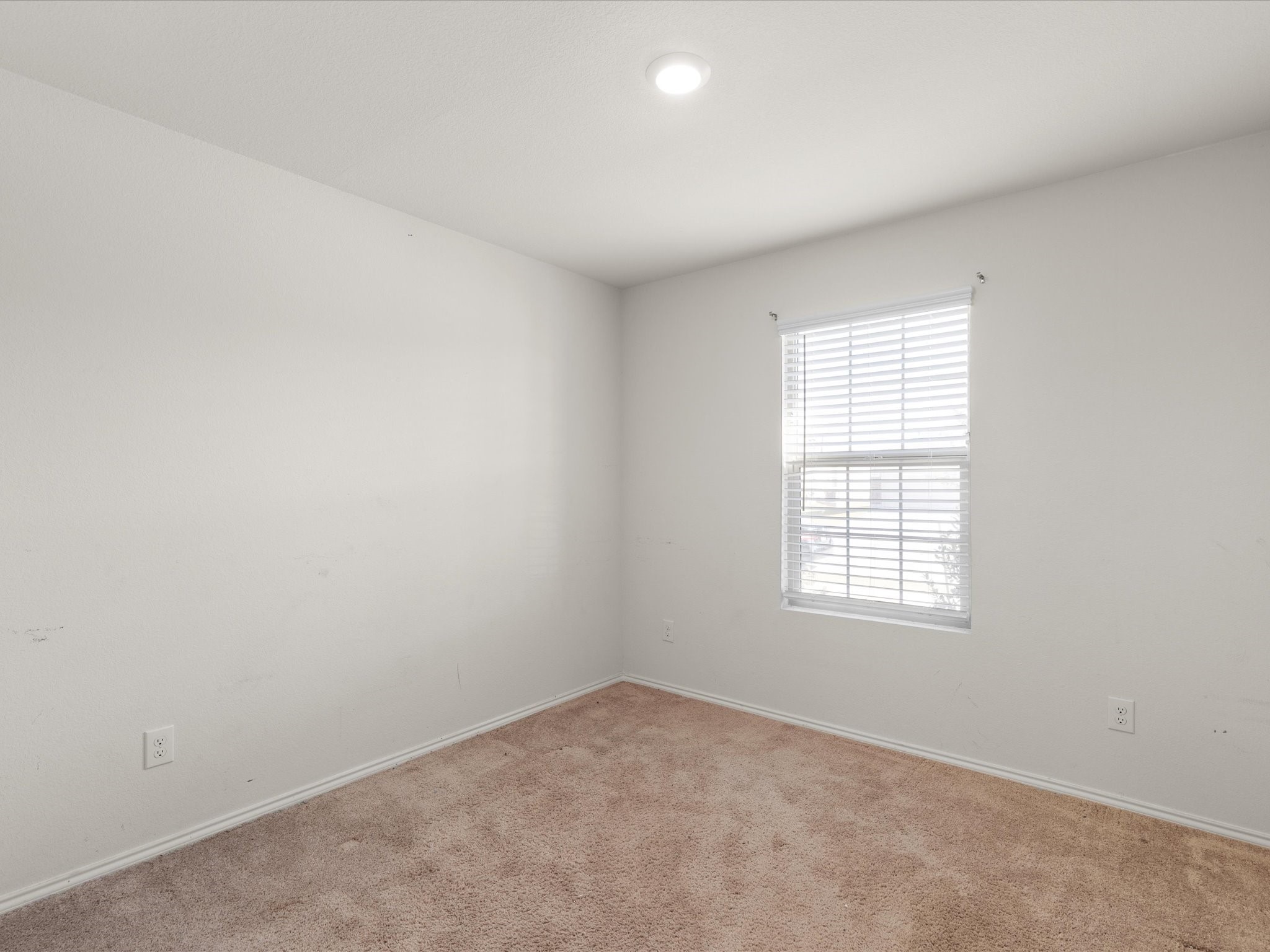 14345 Saddlebred Way