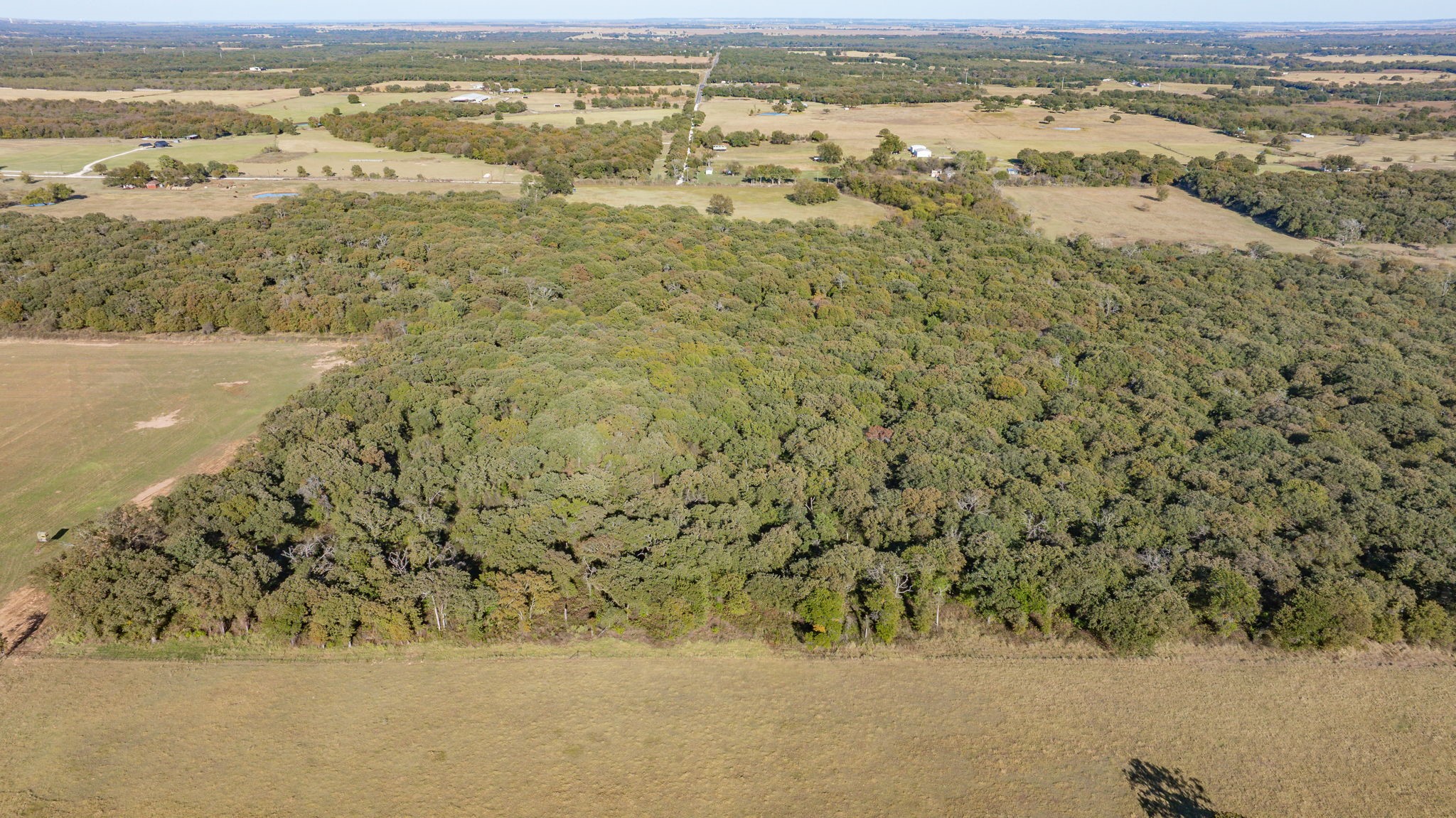Tbd 96.5 Acres Hcr-1446 Road