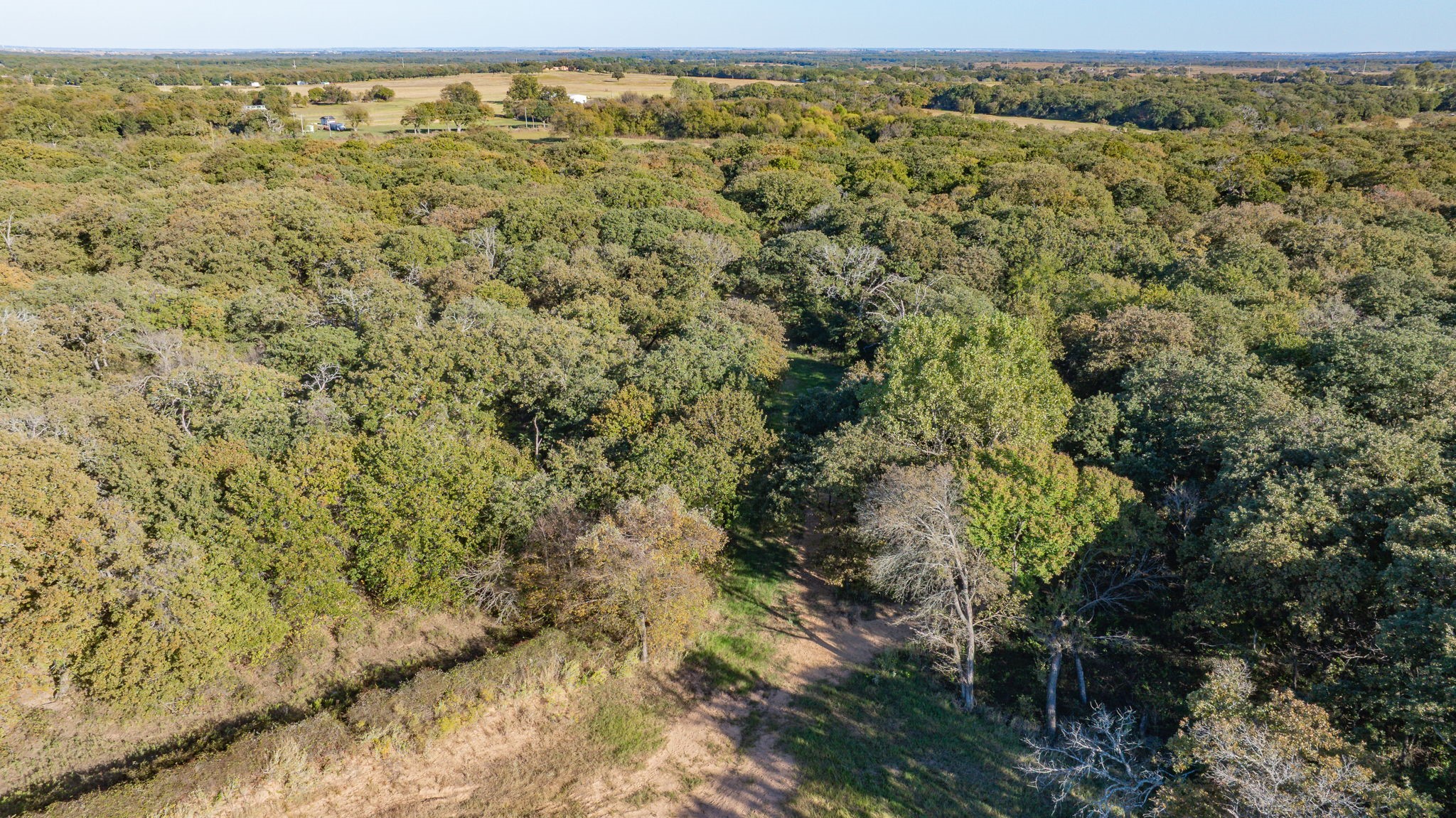 Tbd 96.5 Acres Hcr-1446 Road