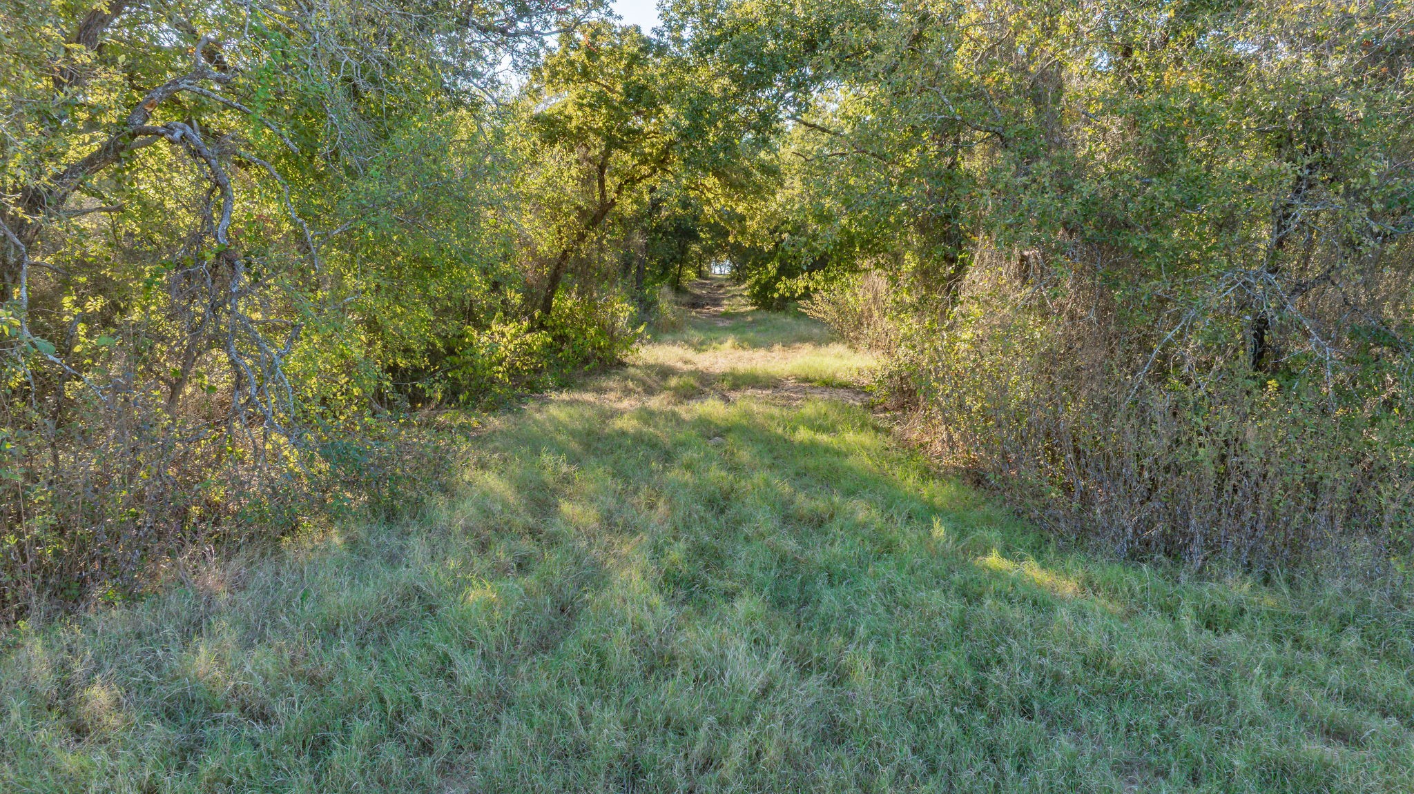 Tbd 96.5 Acres Hcr-1446 Road