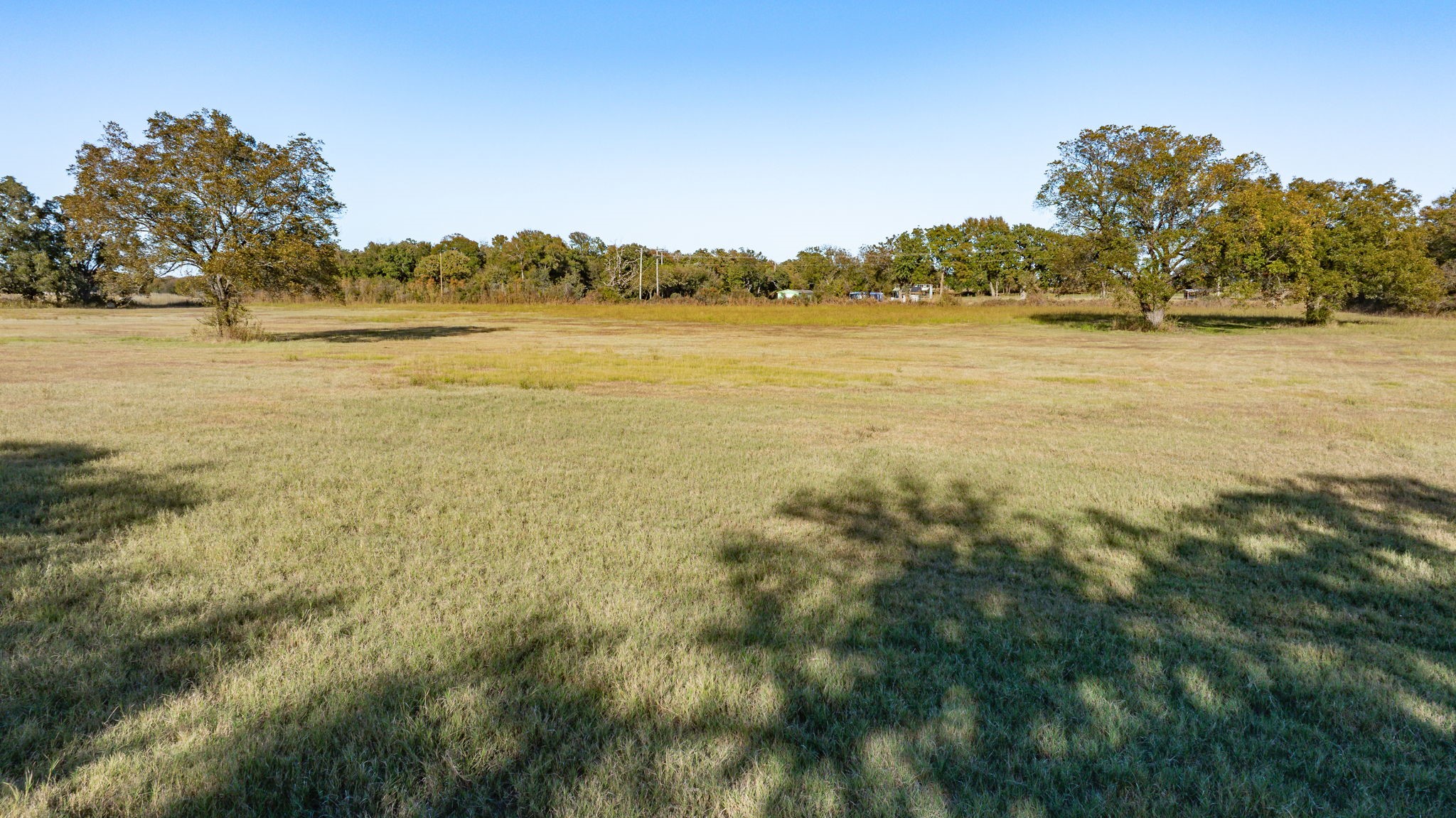 Tbd 96.5 Acres Hcr-1446 Road