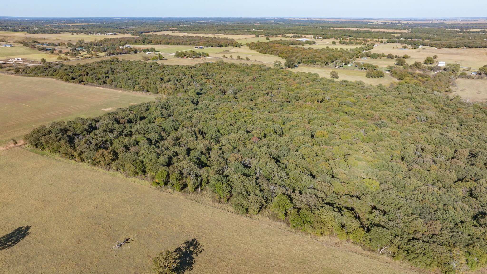 Tbd 96.5 Acres Hcr-1446 Road