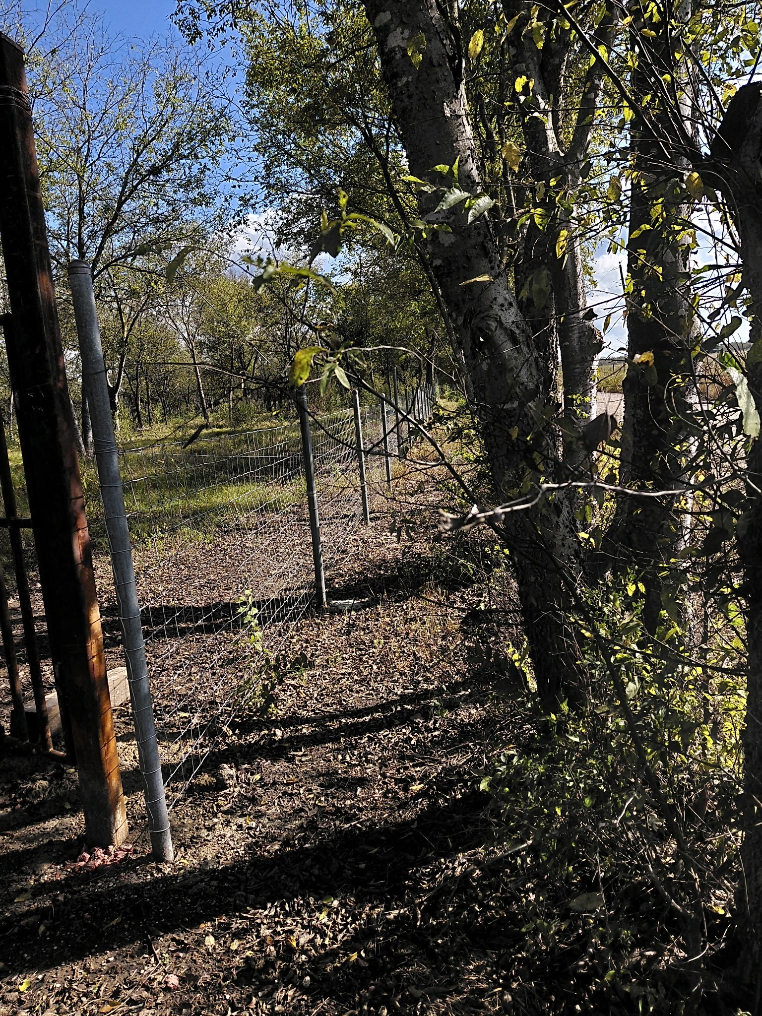 TBD County Road 2340