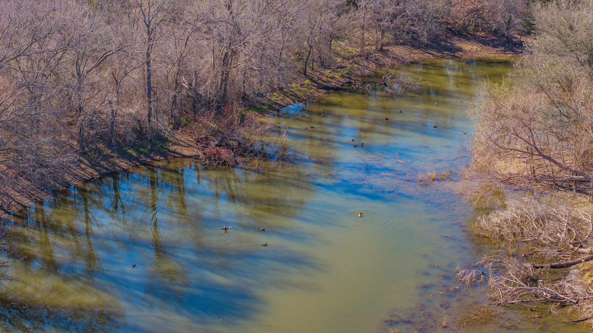 3201 County Road 120