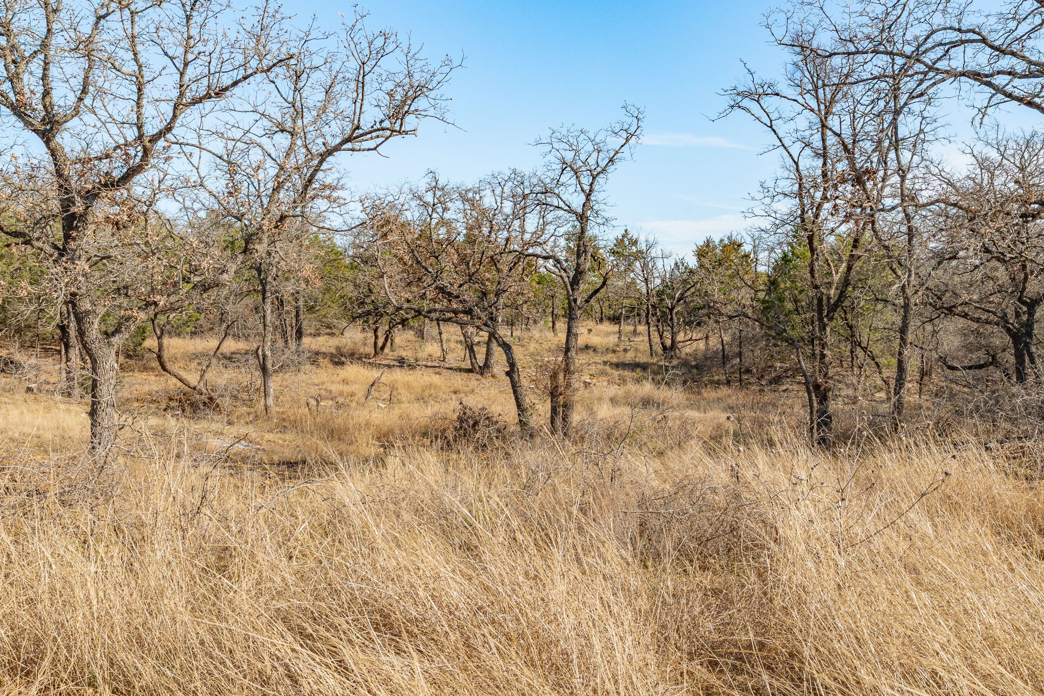 3201 County Road 120