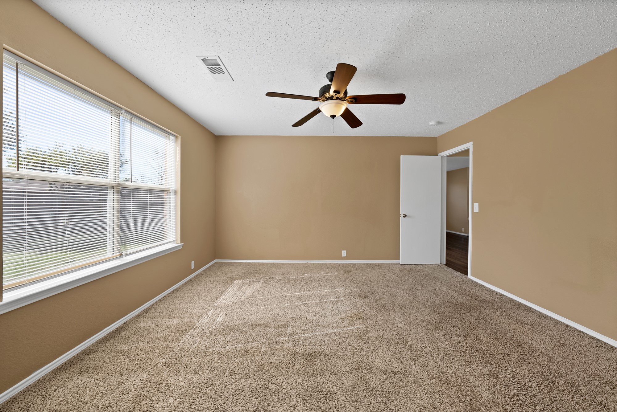 115 Walnut Drive