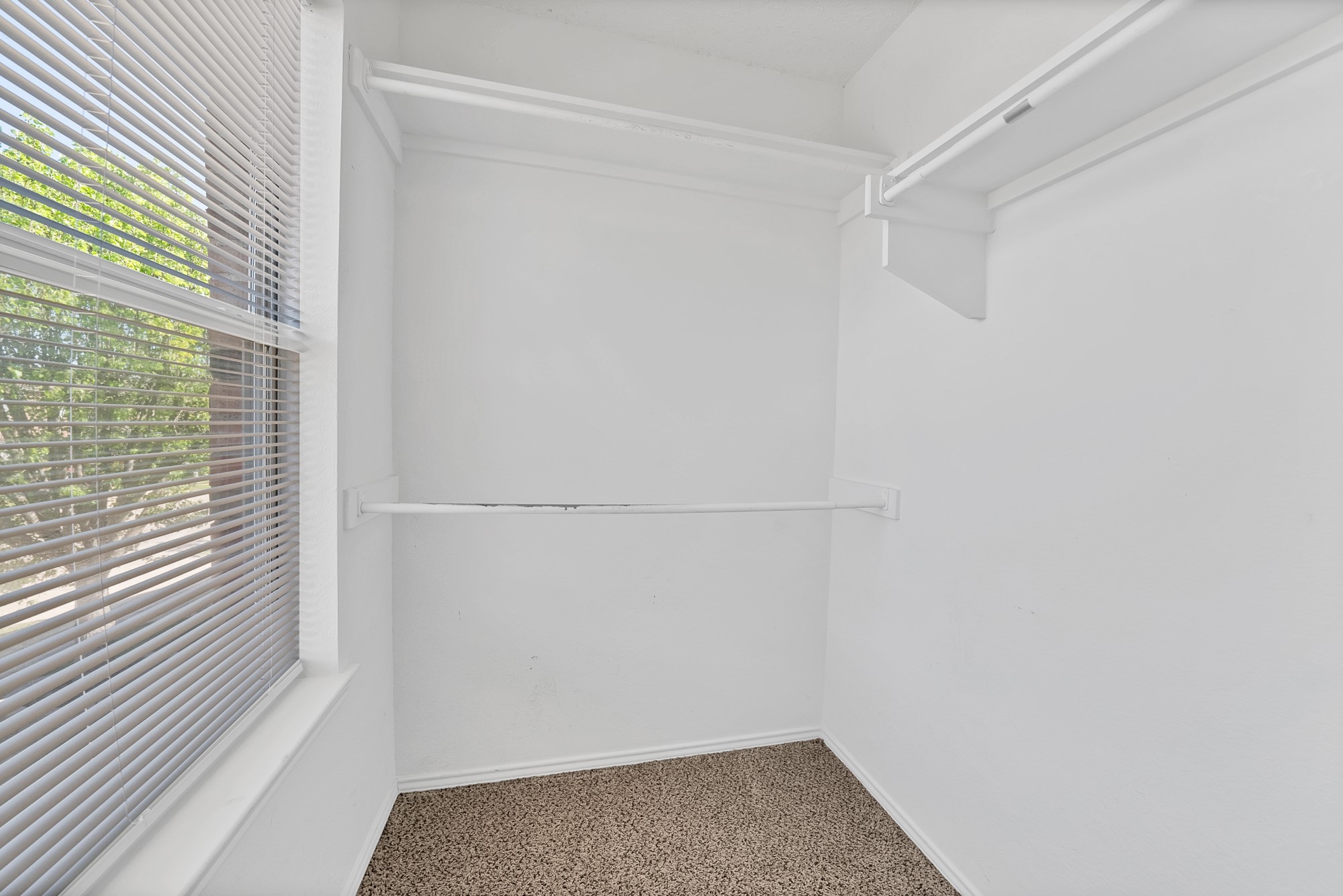 115 Walnut Drive