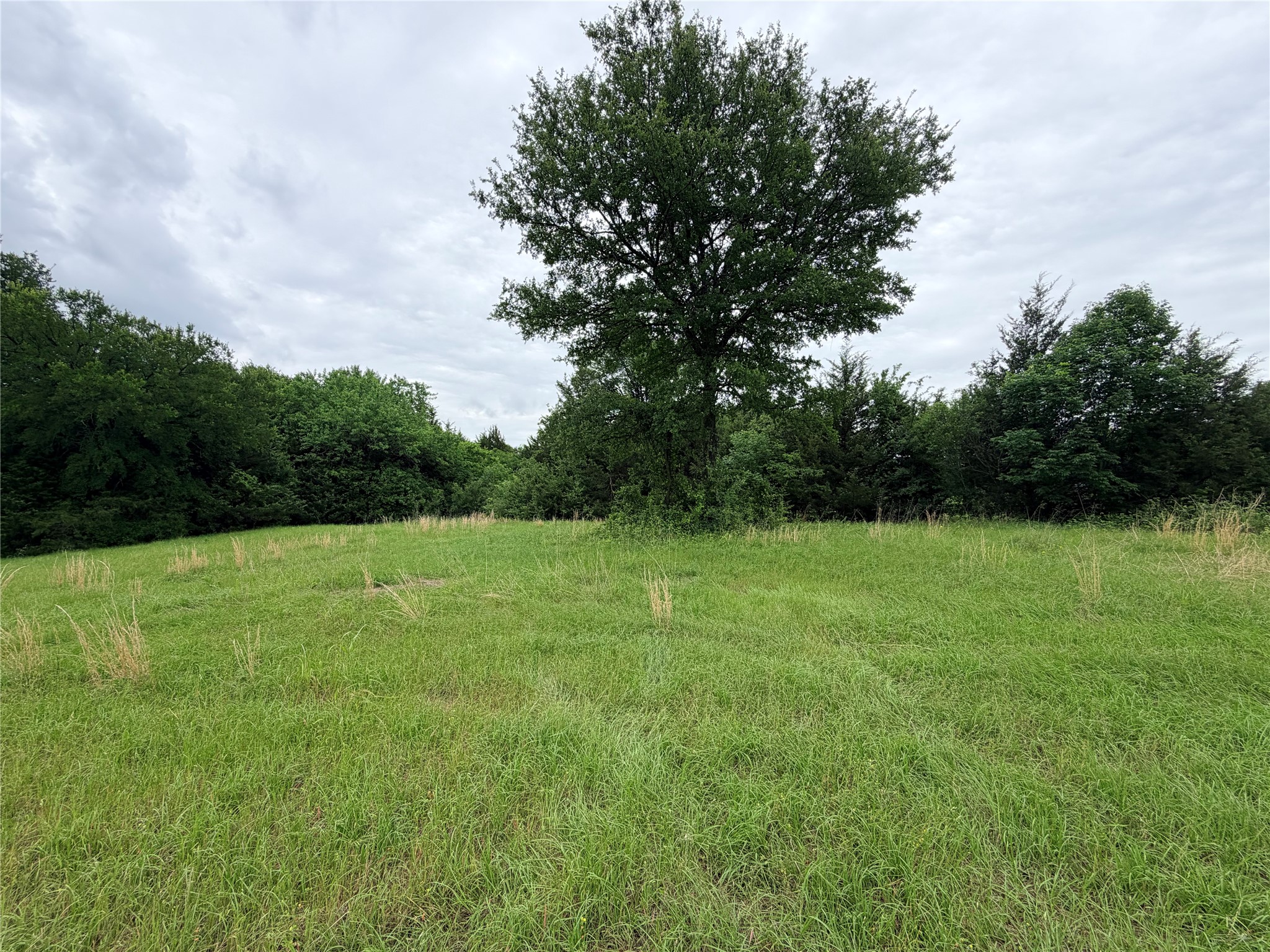 3.269 Acres Hwy 289