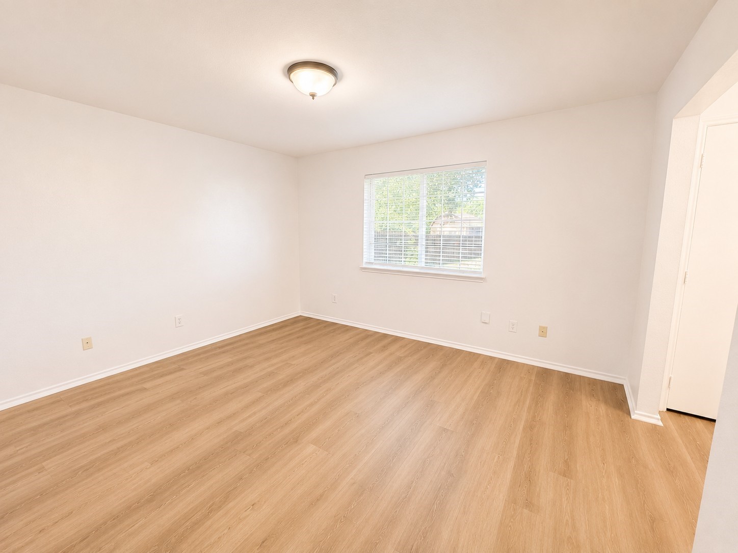 515 Haymarket Drive