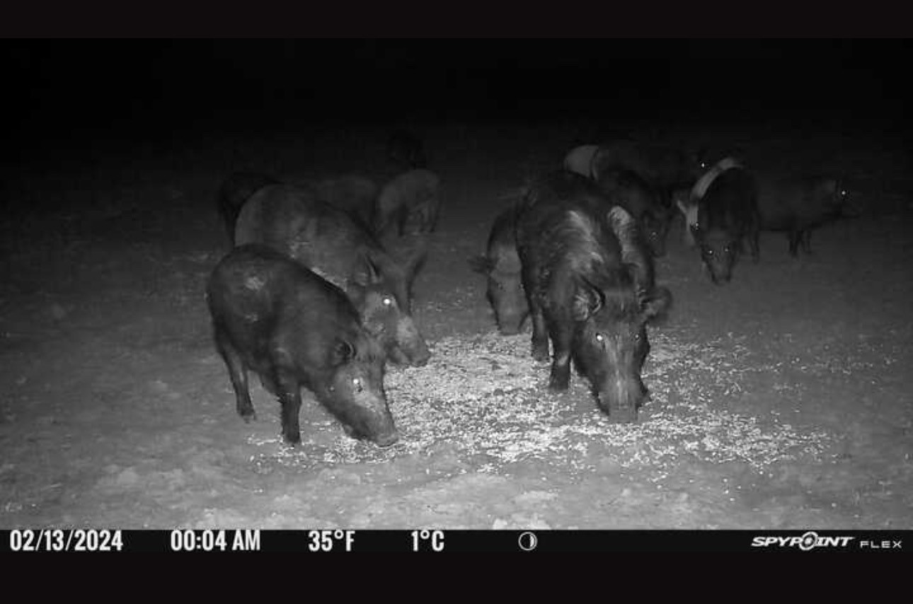 TBD Co Rd 400
