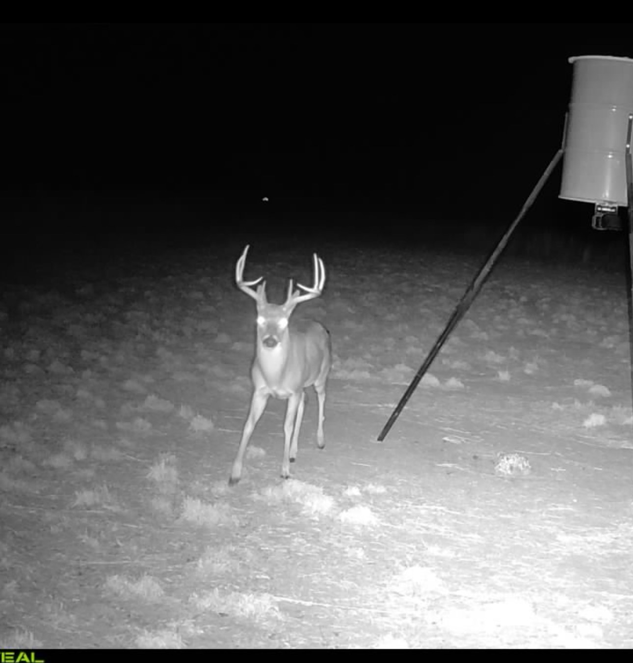 TBD Co Rd 400