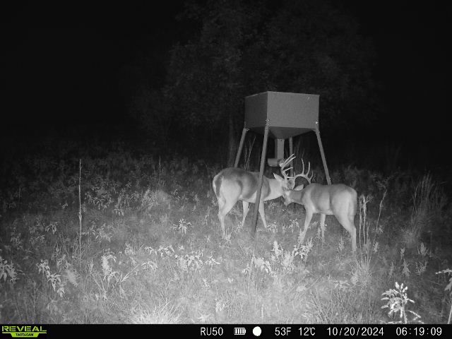 TBD Co Rd 400