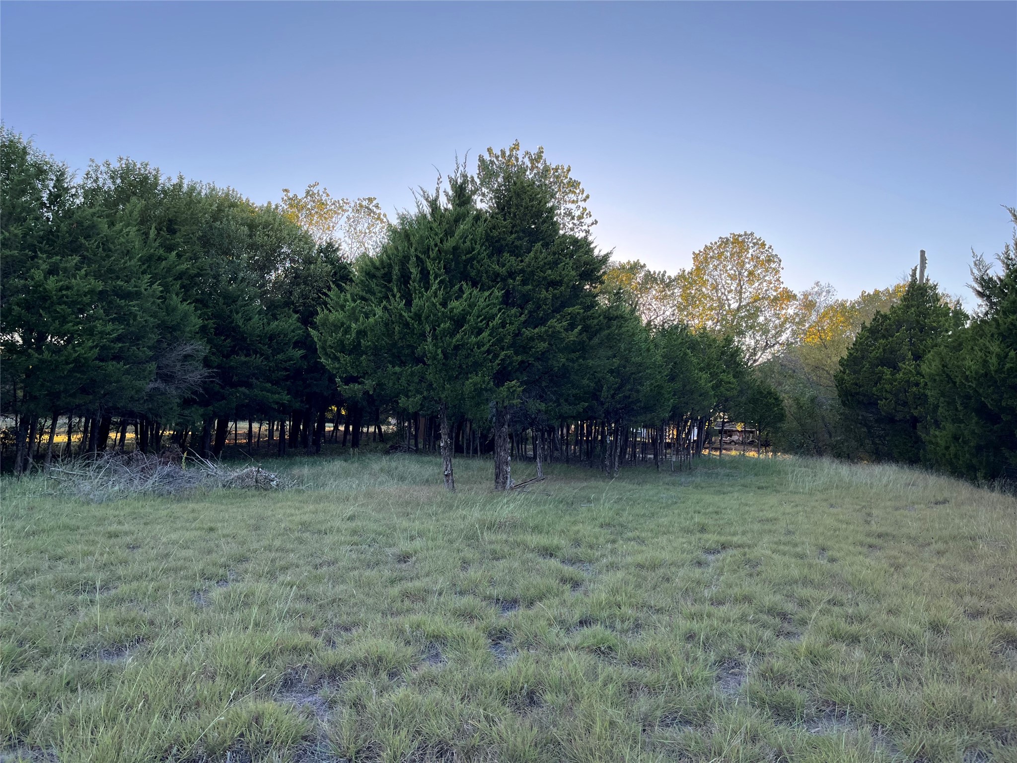 804 Laurence Drive