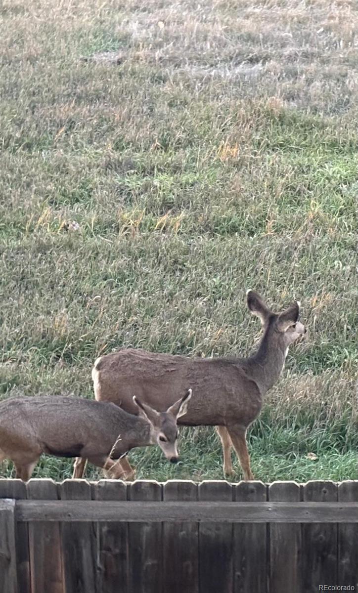 10626 Clarkeville Way