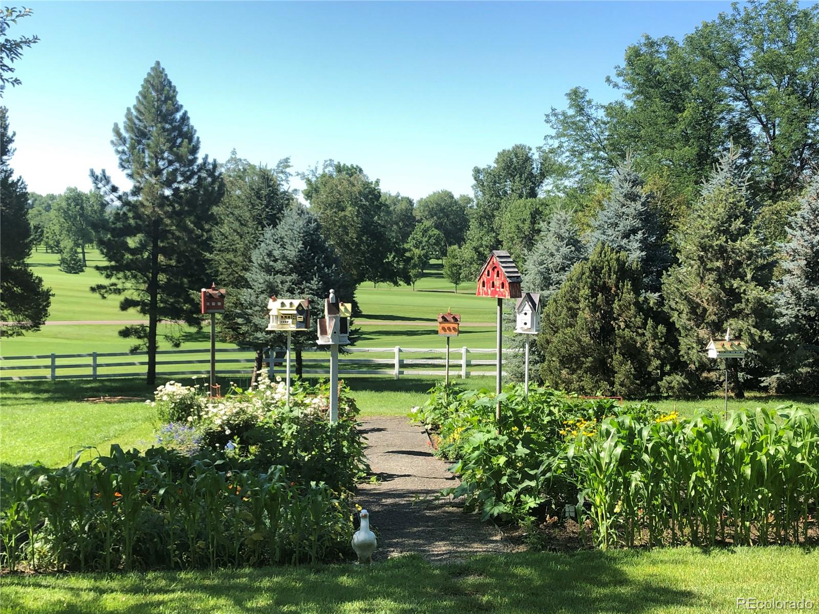 11 Cherry Hills Drive