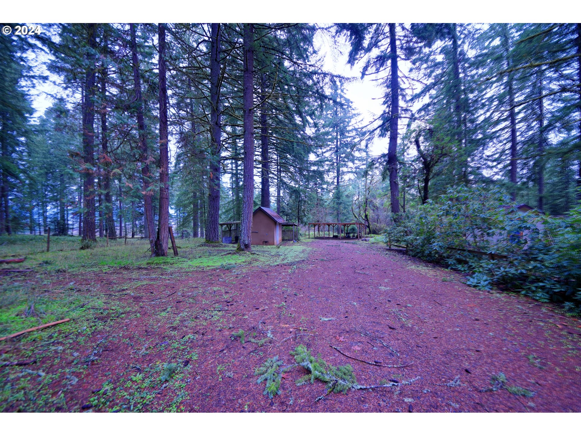 31746 CAMAS SWALE RD