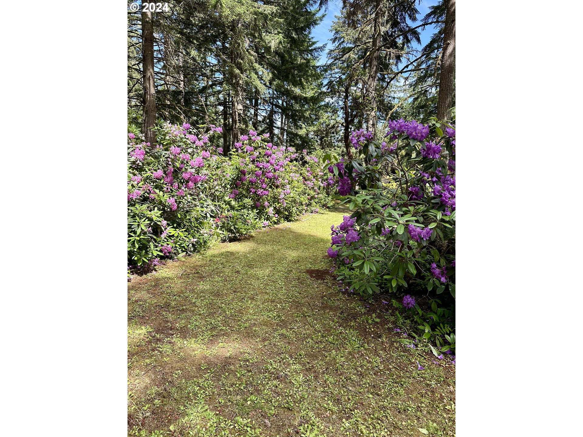 31746 CAMAS SWALE RD