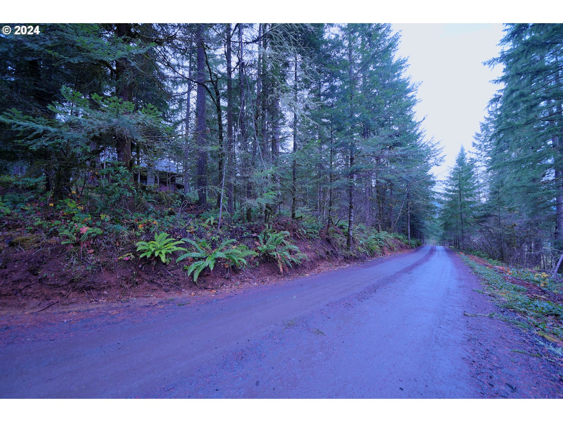 31746 CAMAS SWALE RD