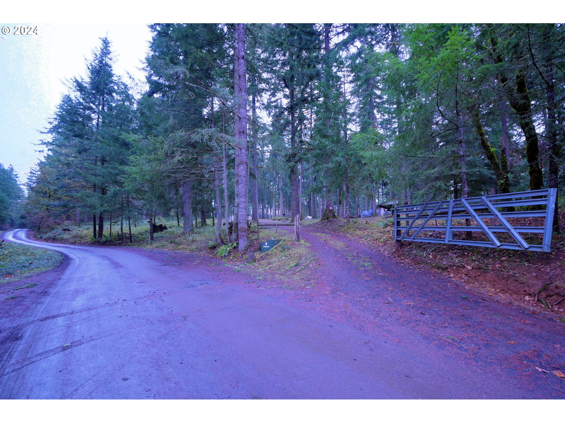 31746 CAMAS SWALE RD