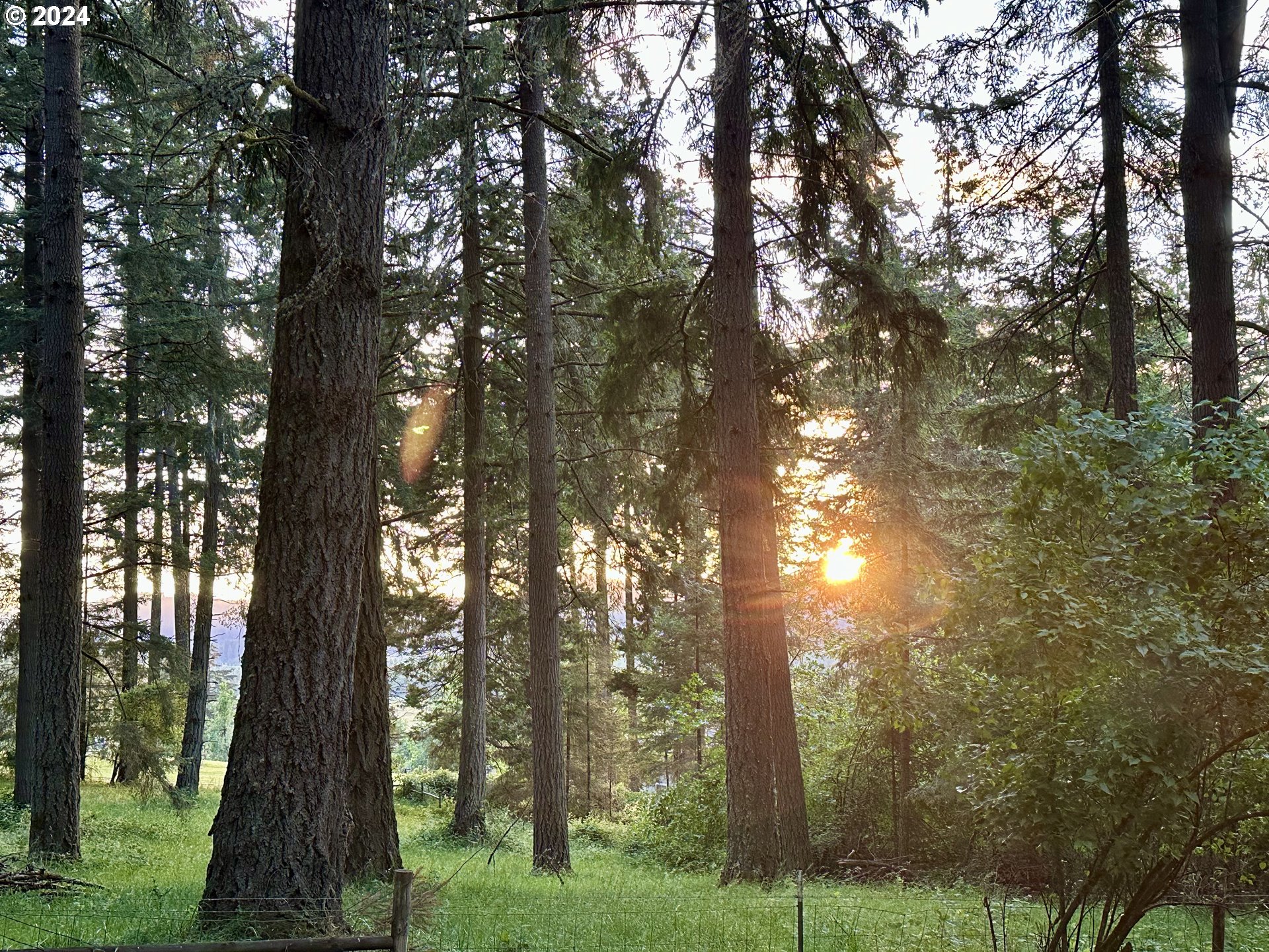 31746 CAMAS SWALE RD