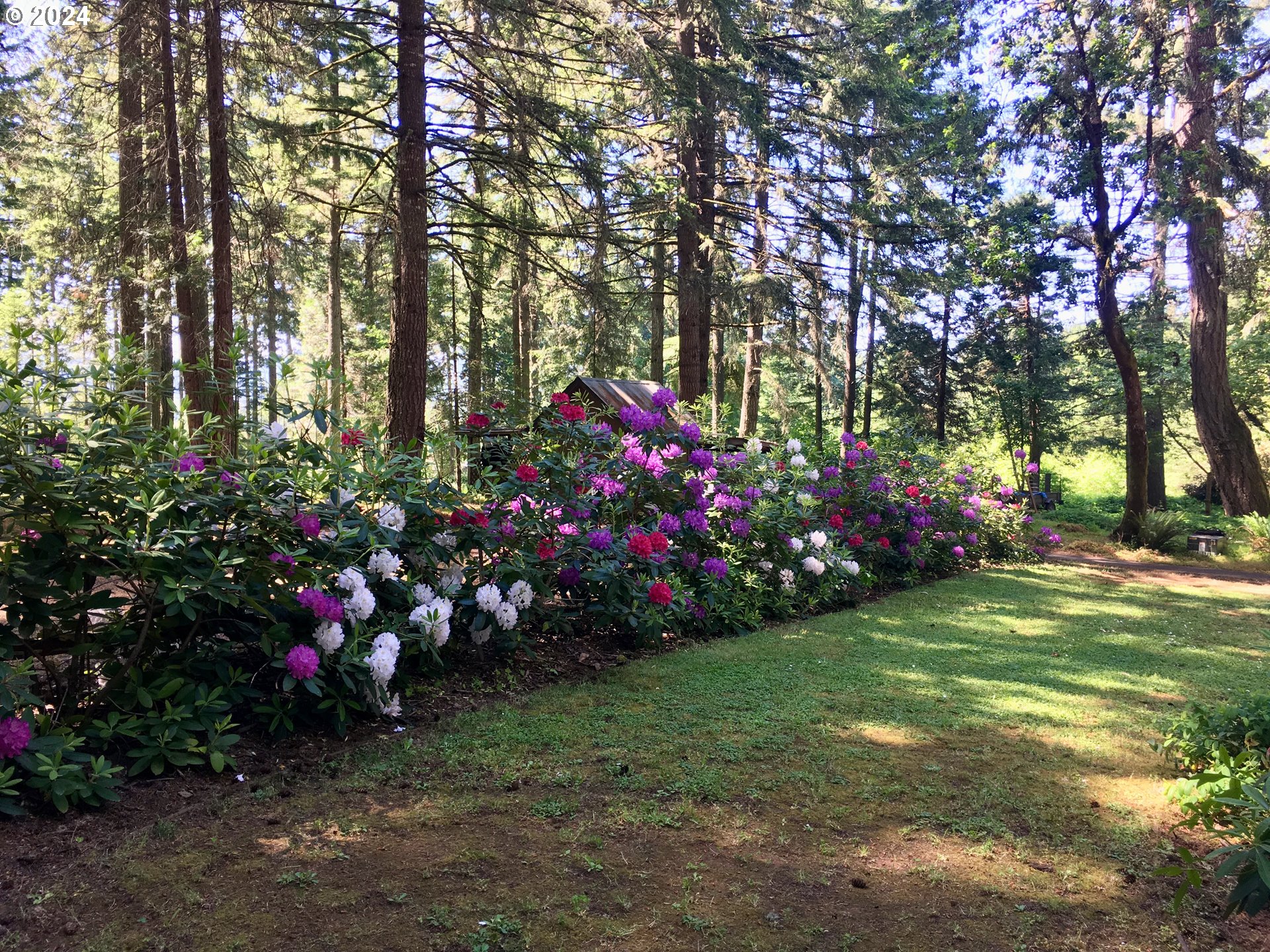 31746 CAMAS SWALE RD