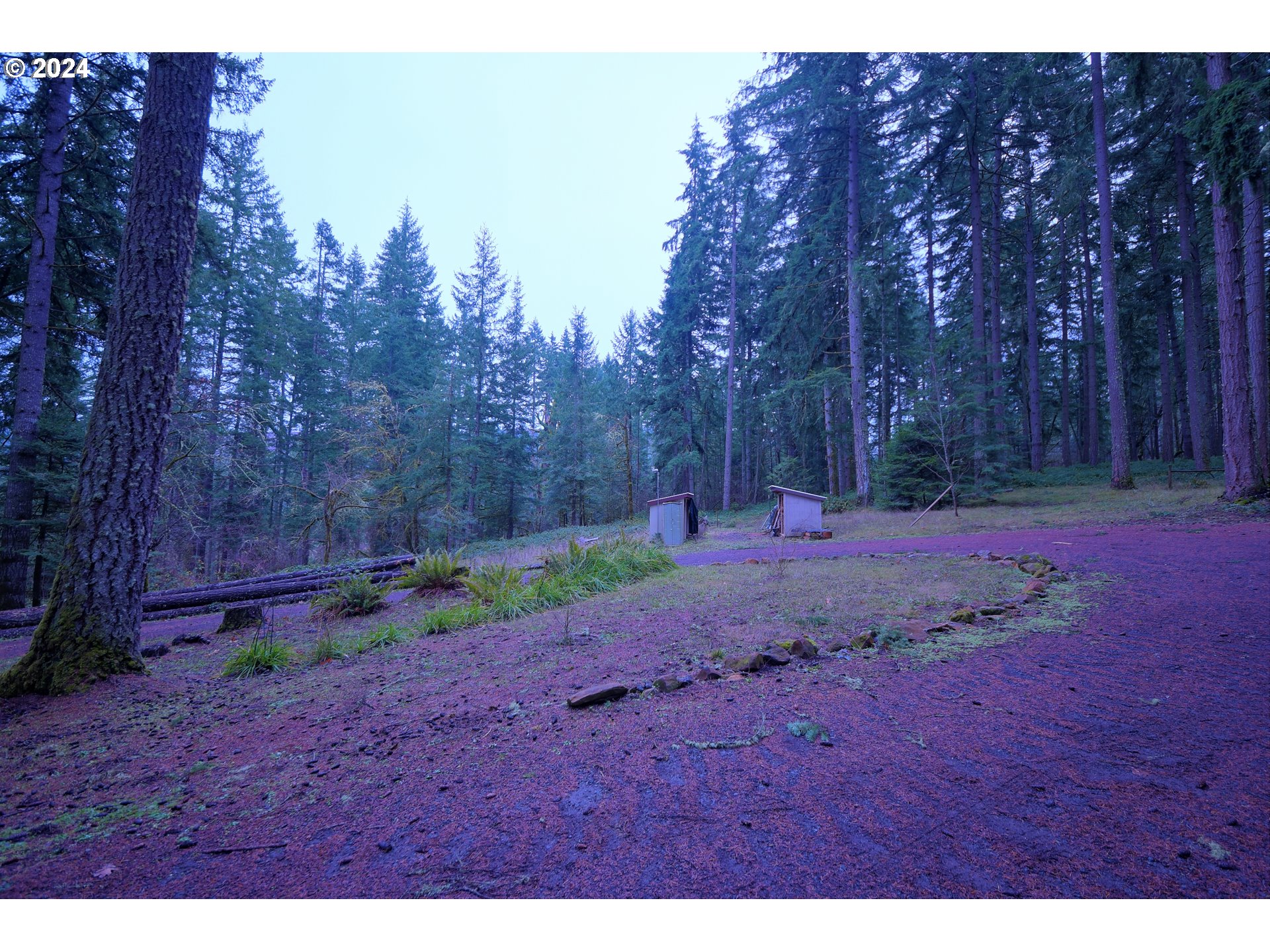 31746 CAMAS SWALE RD