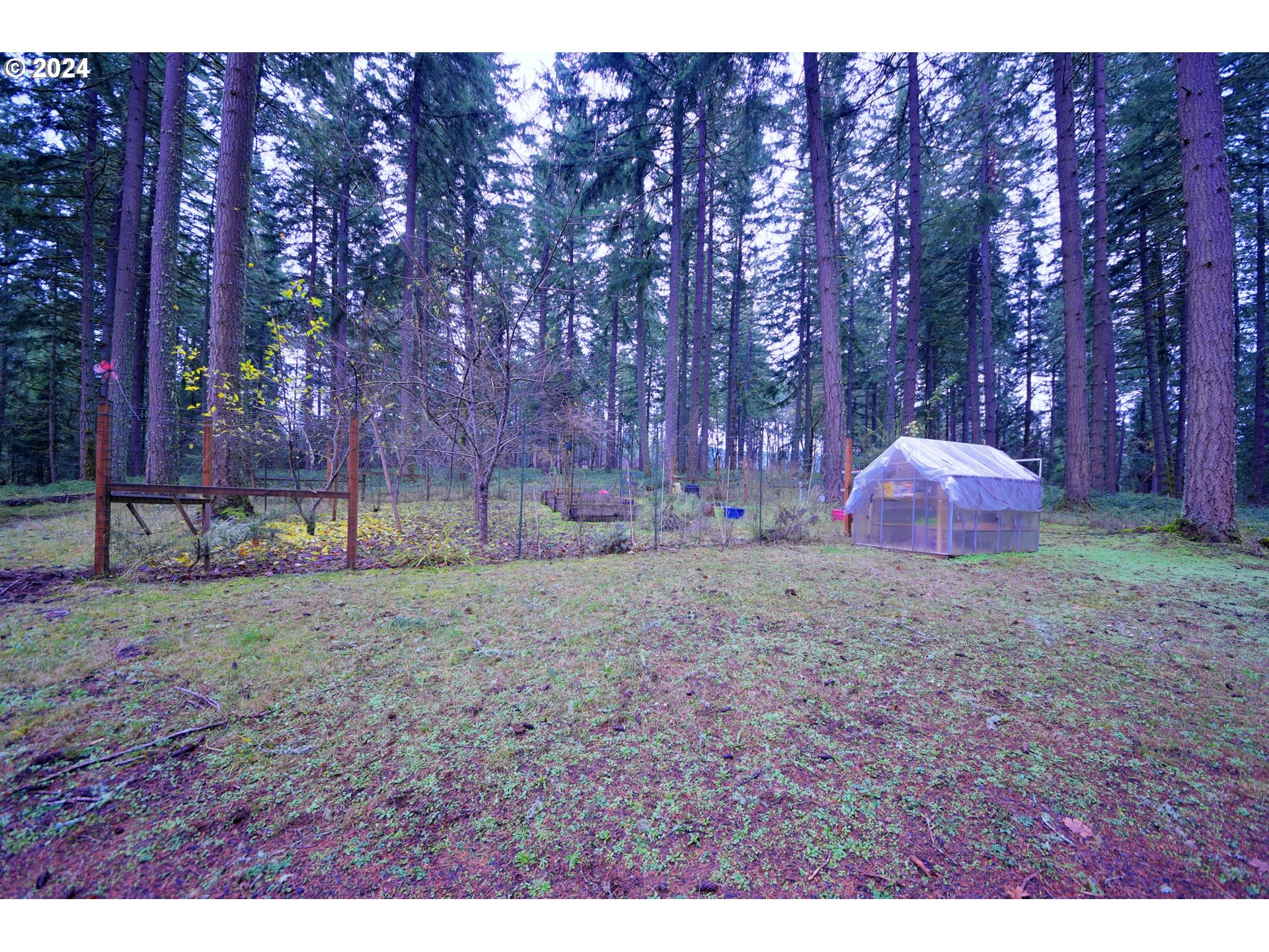31746 CAMAS SWALE RD