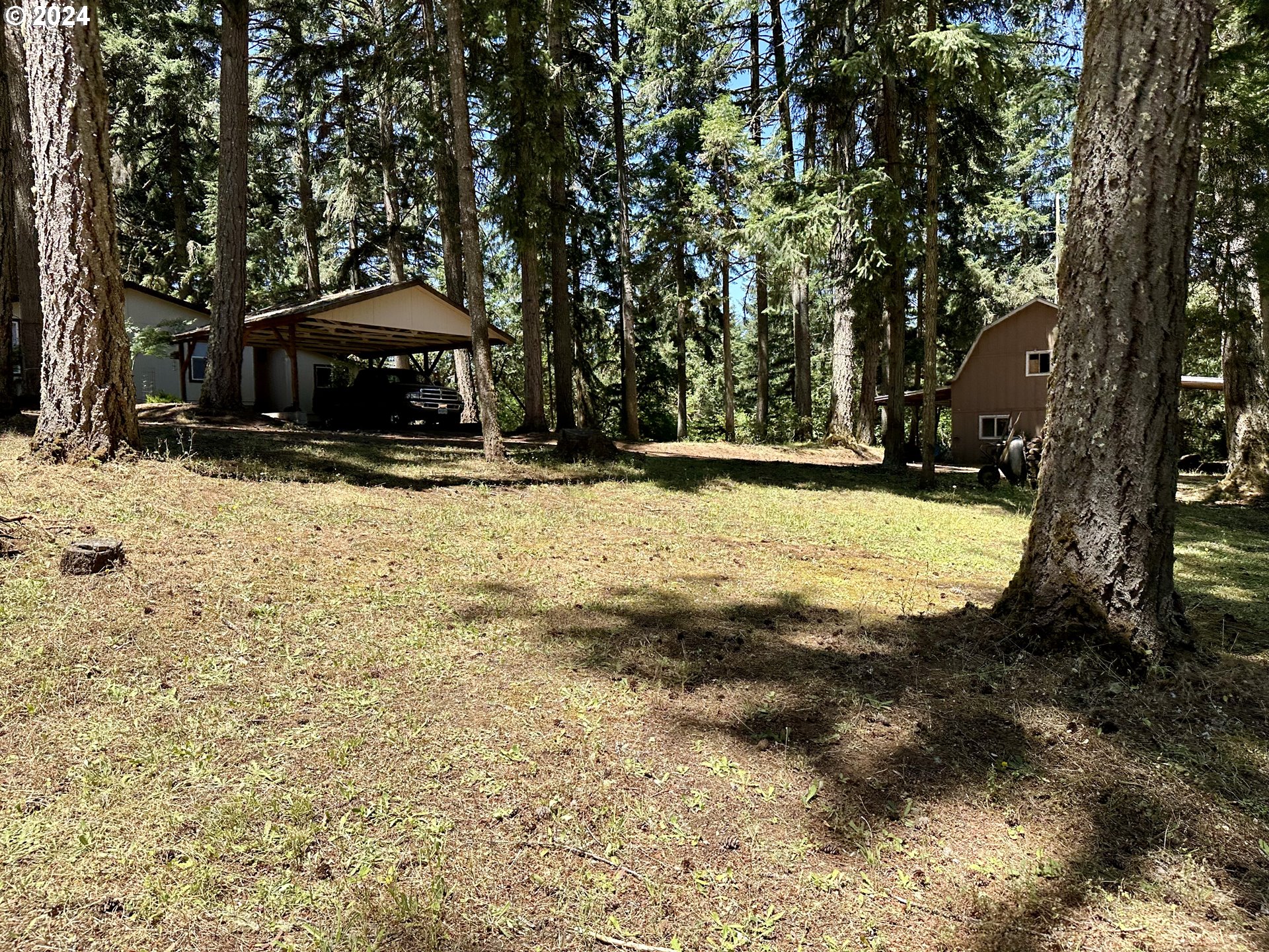 31746 CAMAS SWALE RD