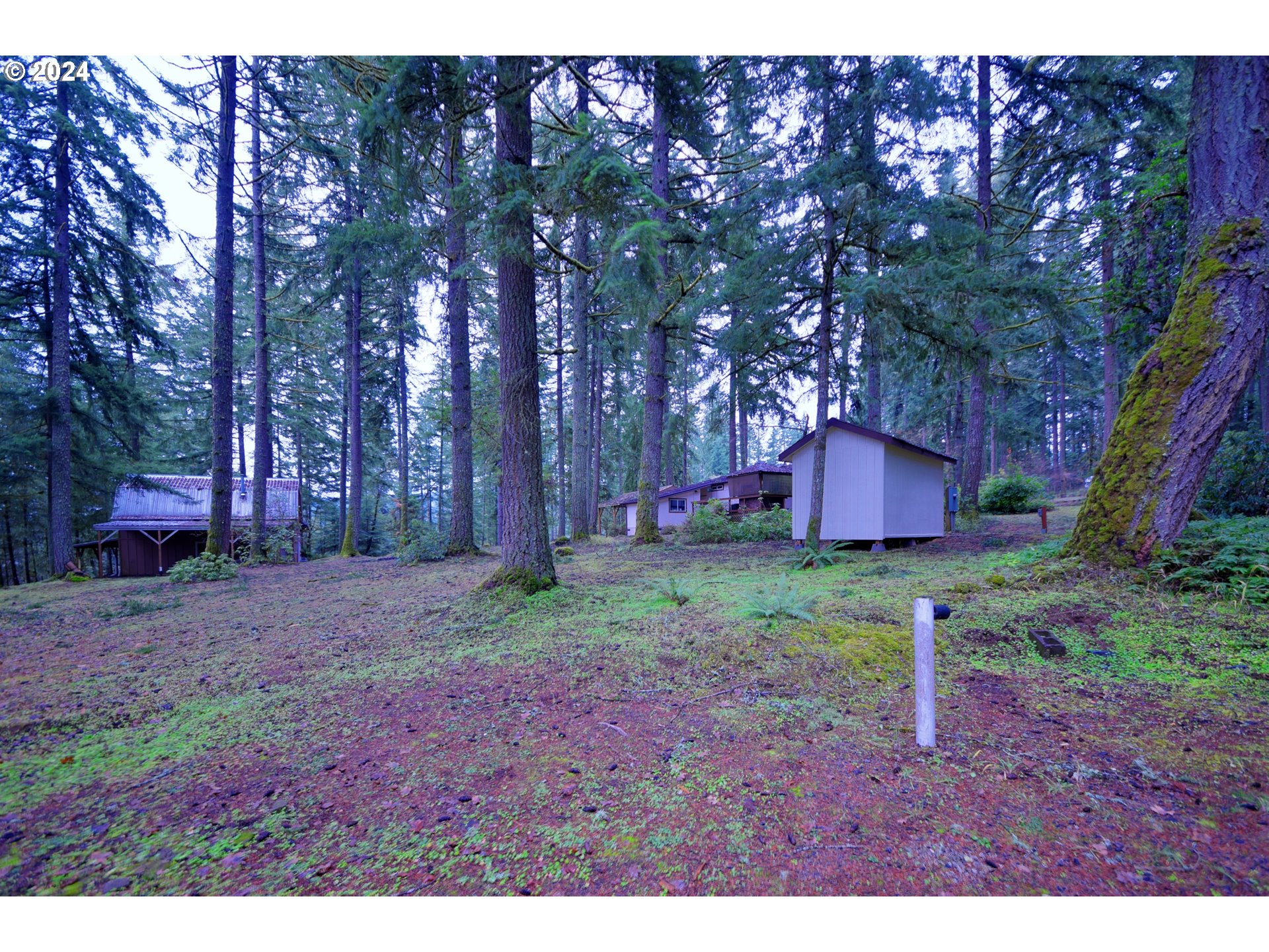 31746 CAMAS SWALE RD