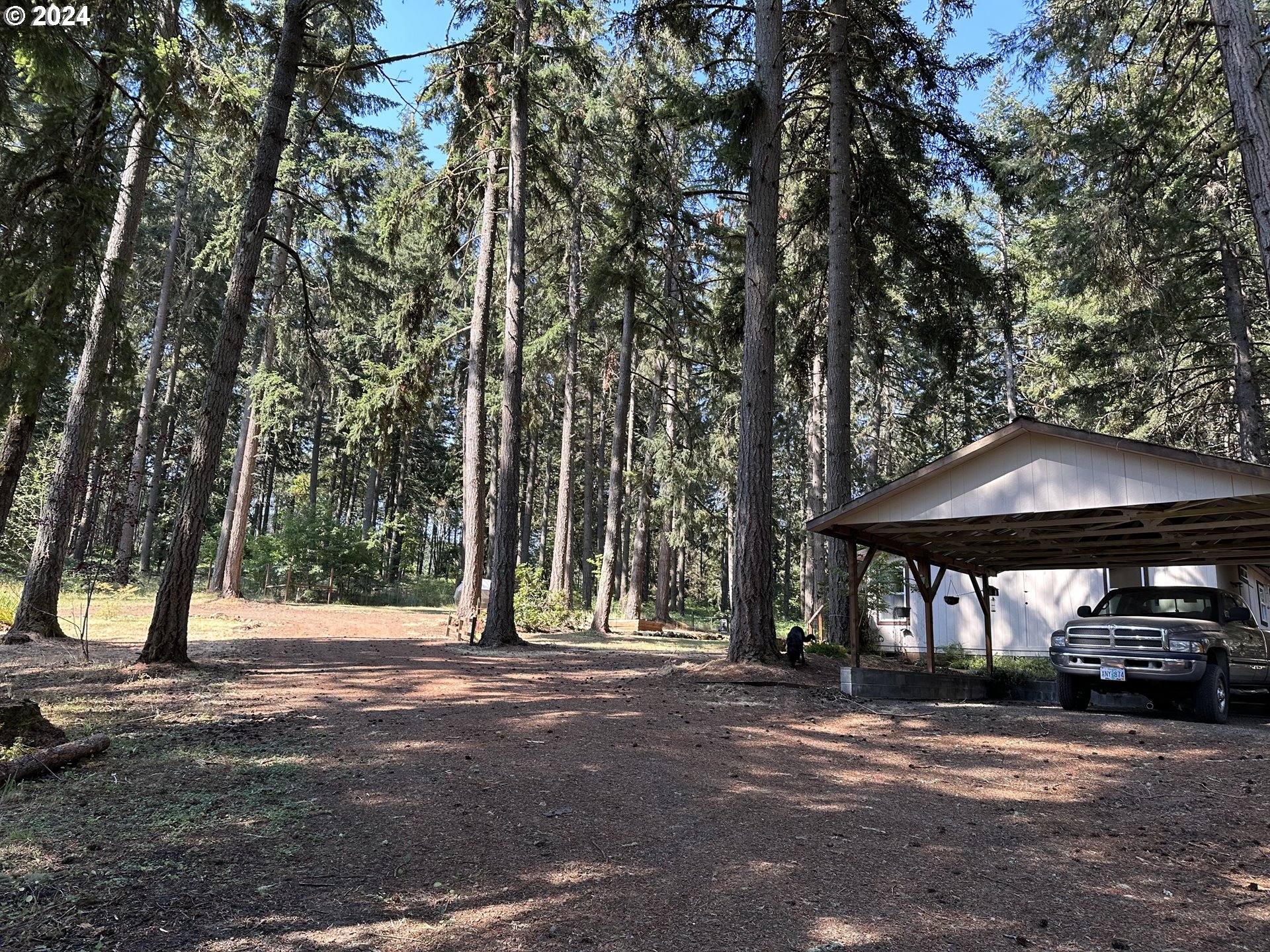 31746 CAMAS SWALE RD