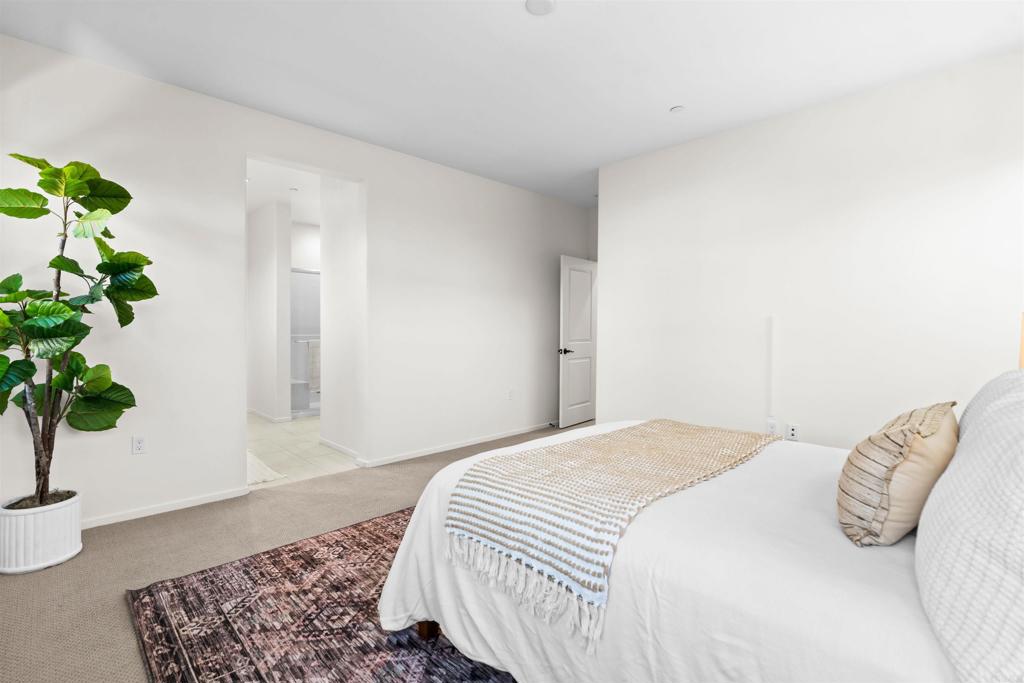 1917 Avenida Echeveria 43