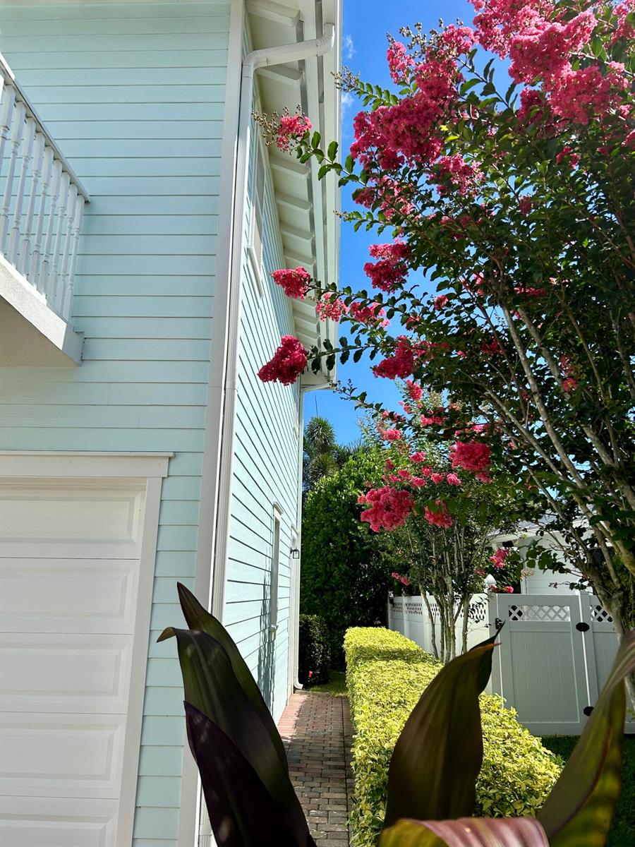 1039 Tiki Drive