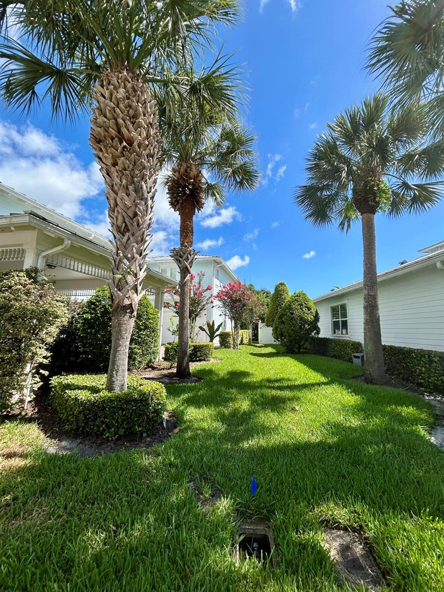 1039 Tiki Drive