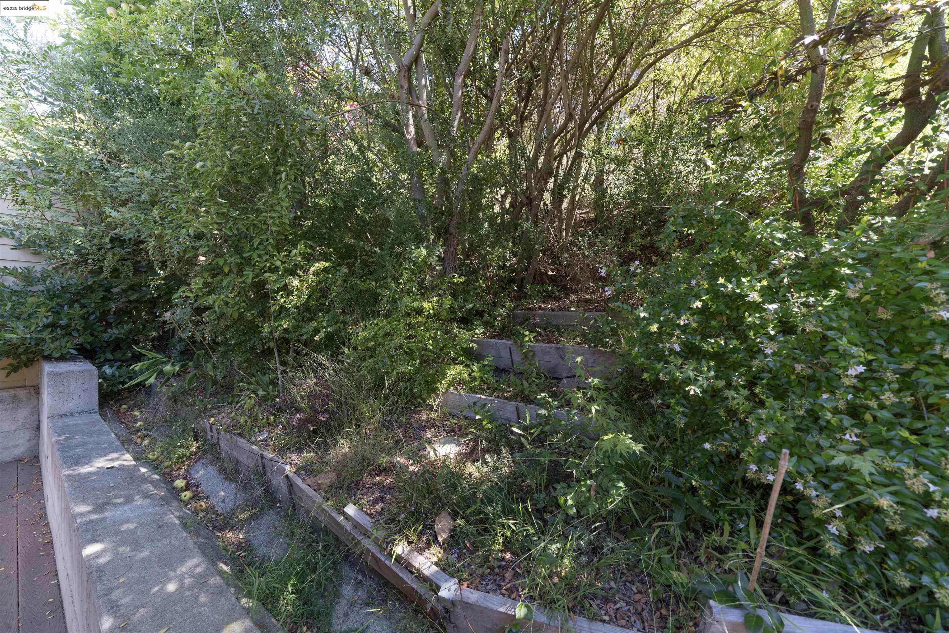 1881 Grand View Drive