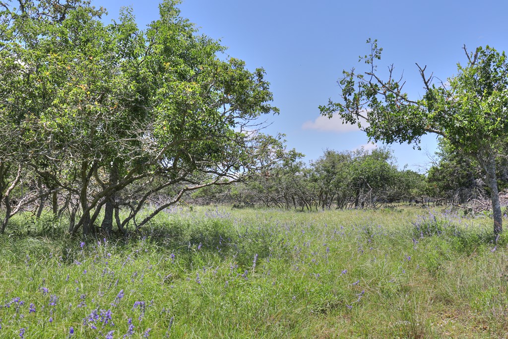 2600 Reservation Rd
